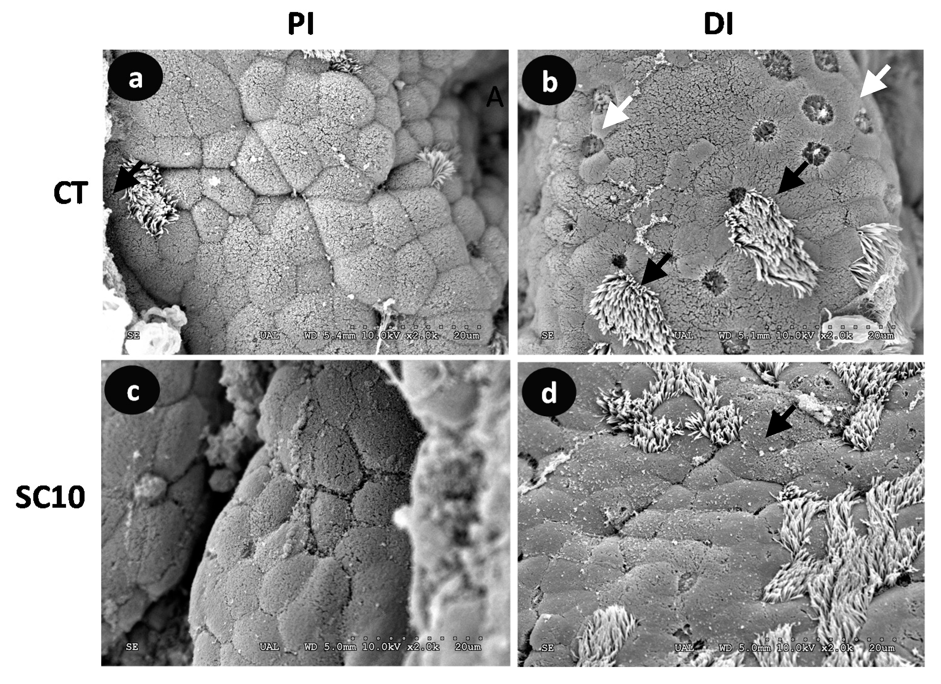 Sustainability 12 08779 g003