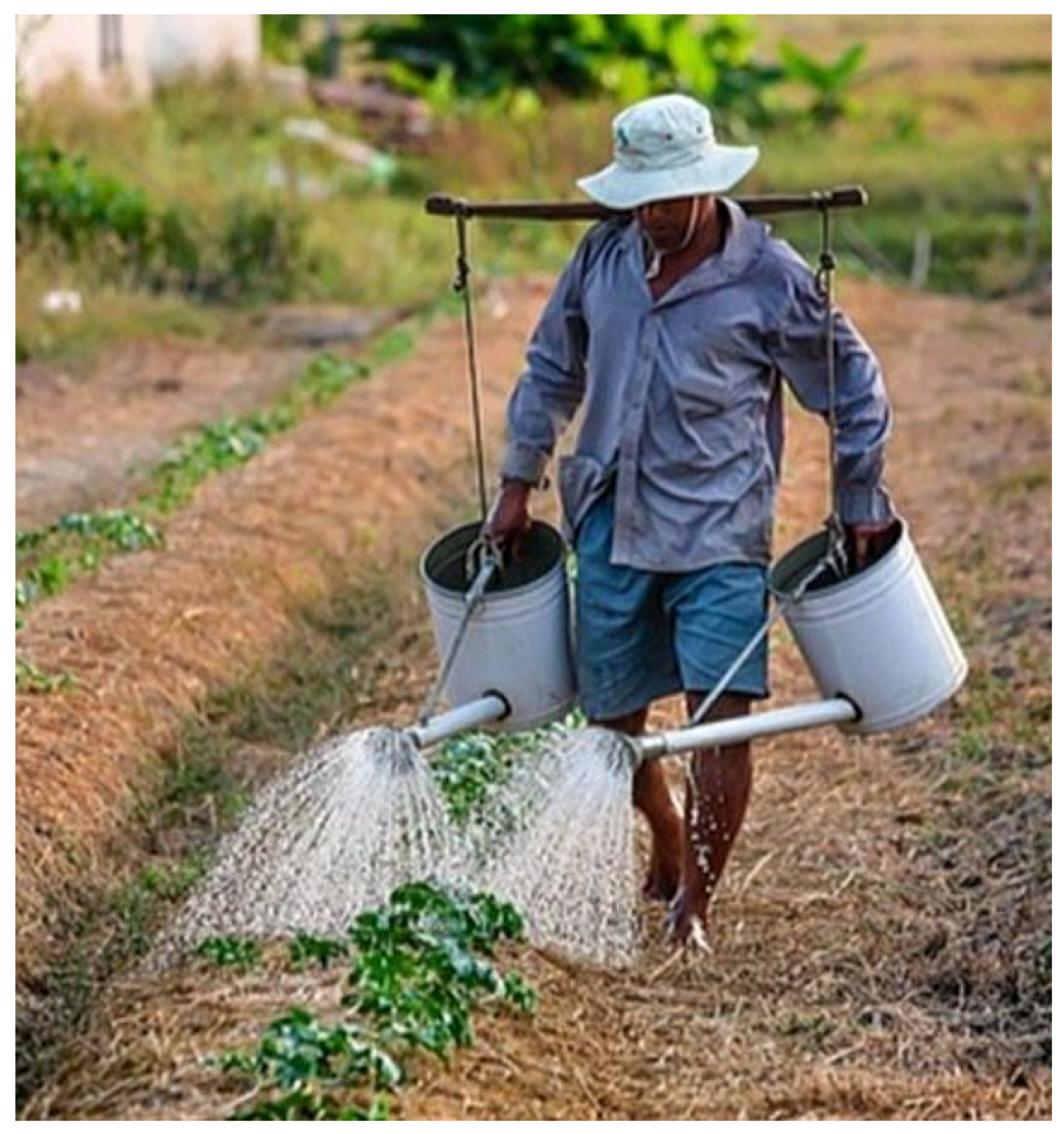 Sustainability 12 08783 g001