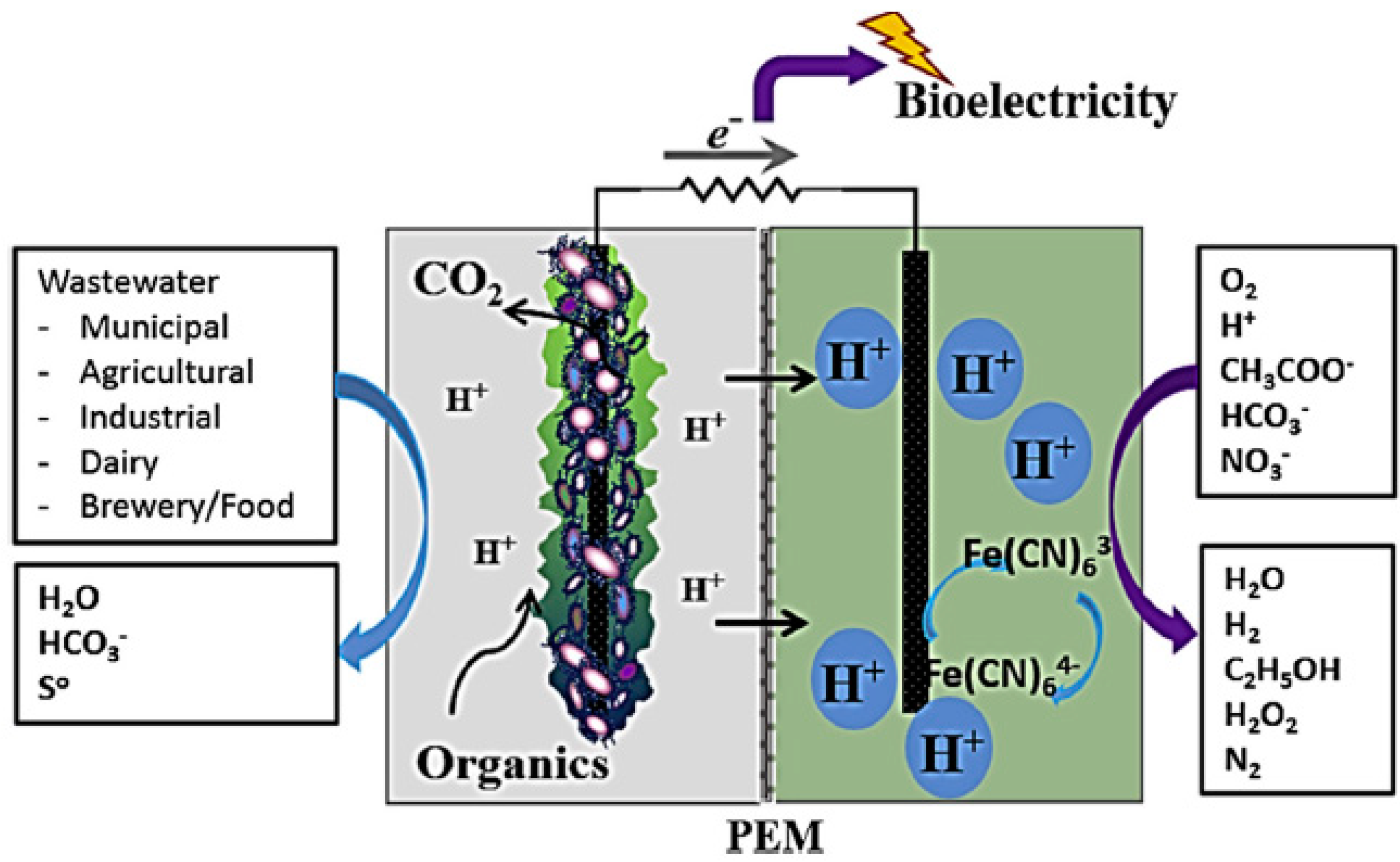 Sustainability 12 08792 g004