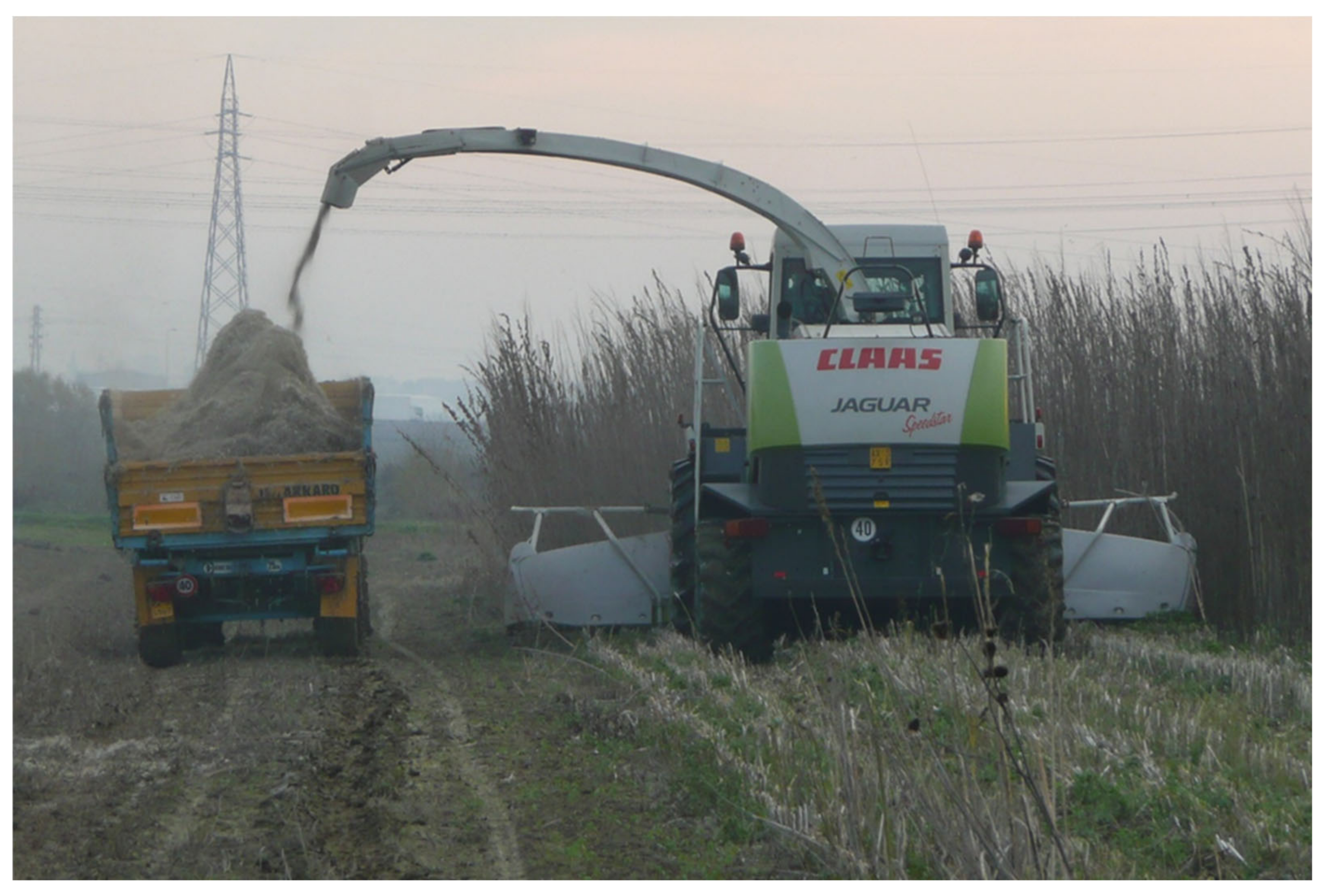 Sustainability 12 08795 g001