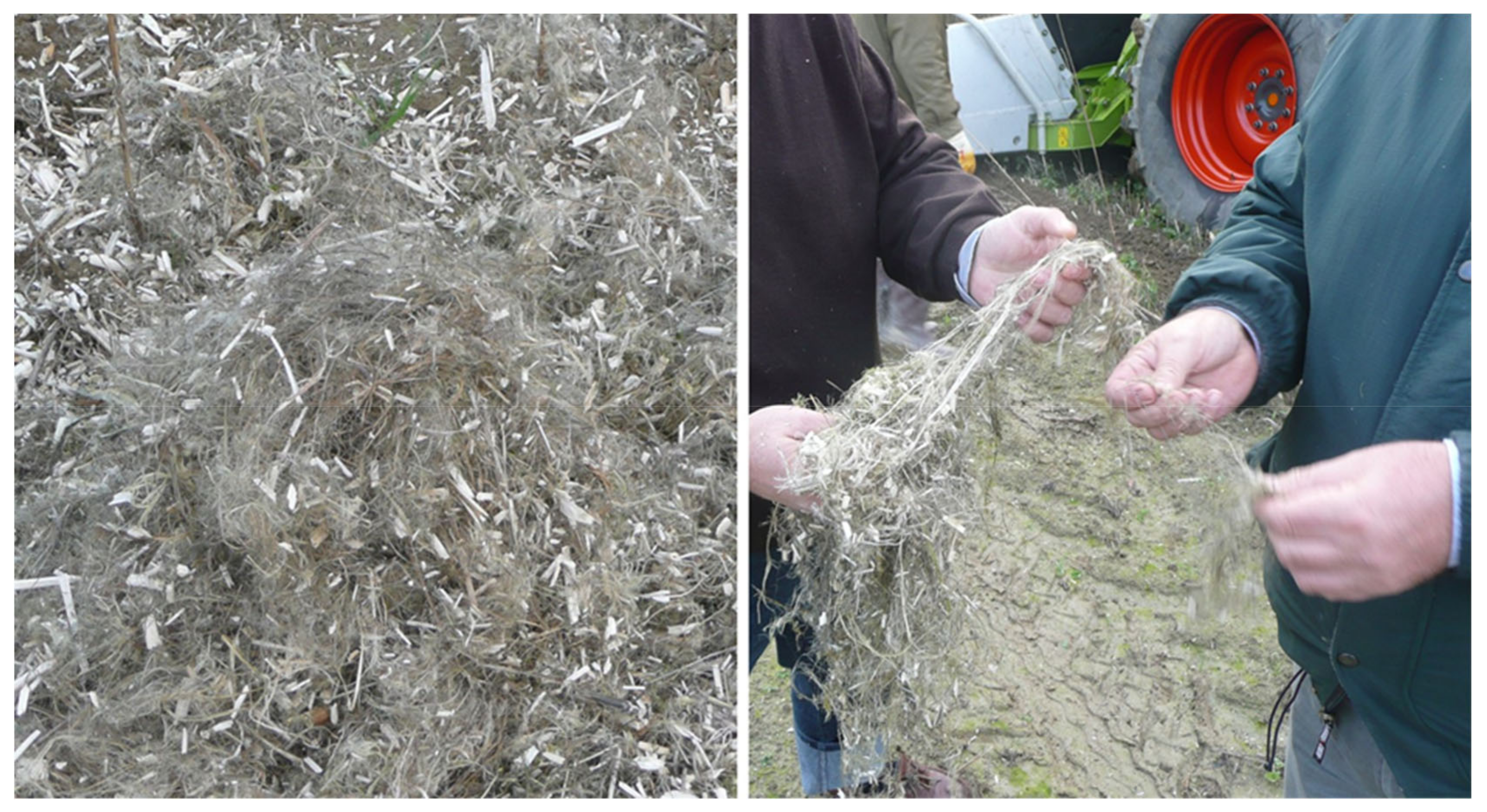 Sustainability 12 08795 g002