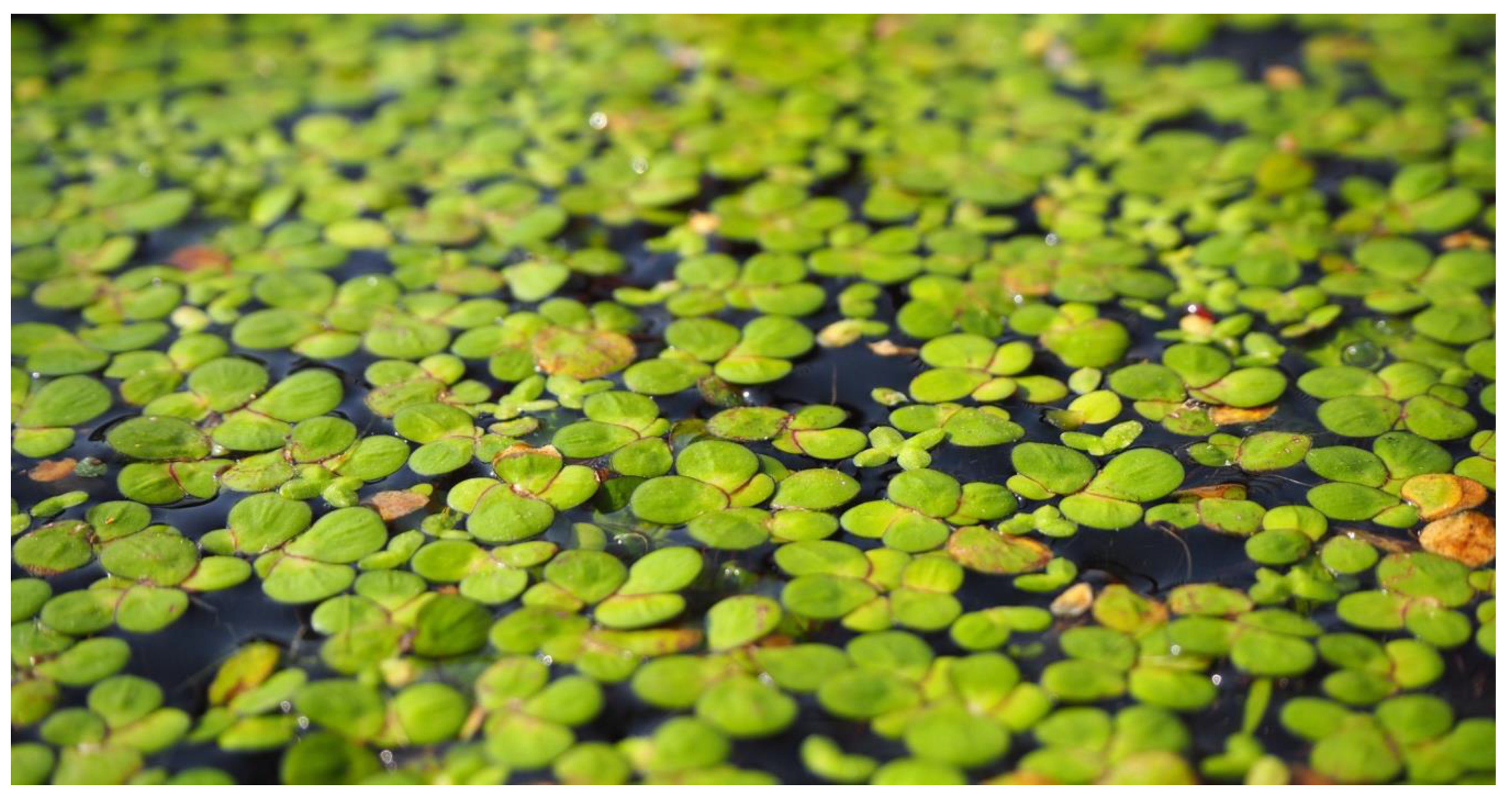 Sustainability 12 08840 g001