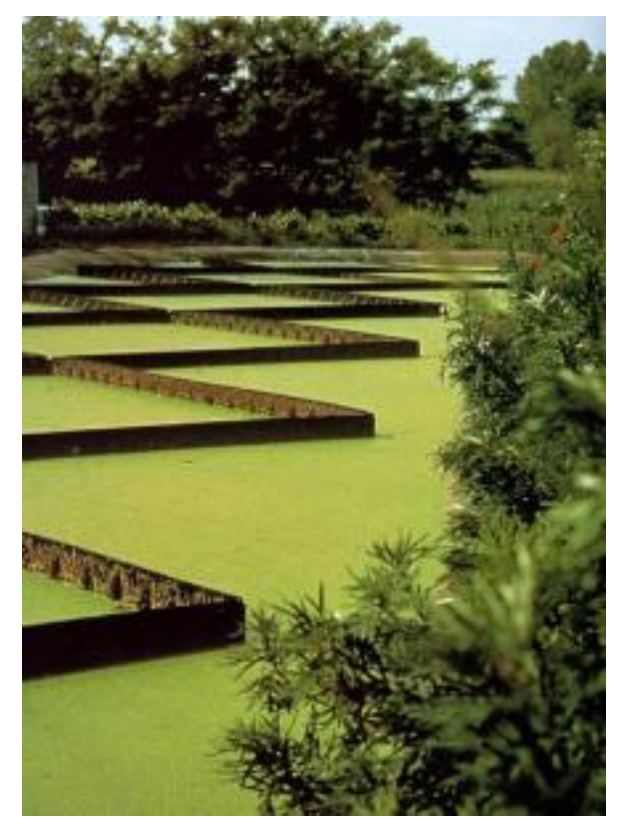 Sustainability 12 08840 g002