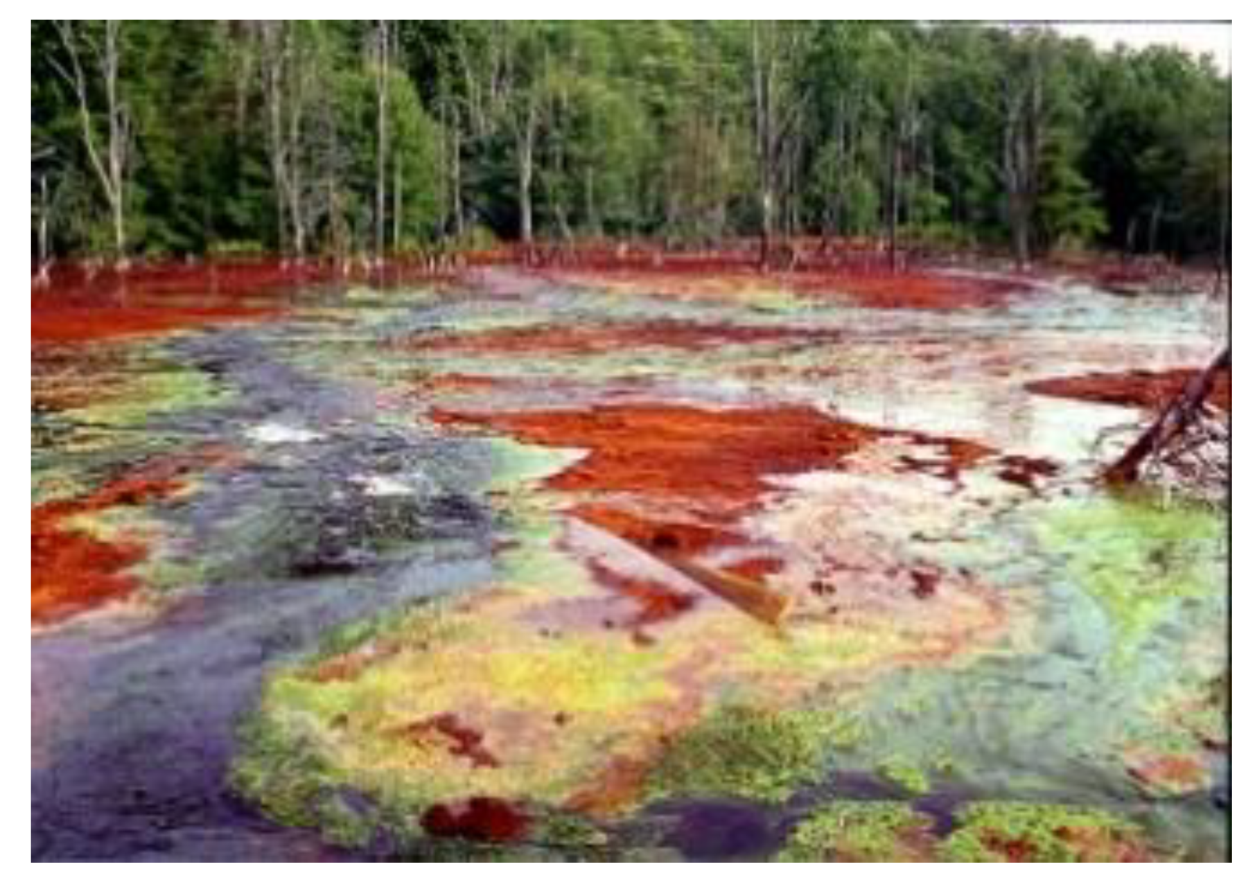 Sustainability 12 08840 g003