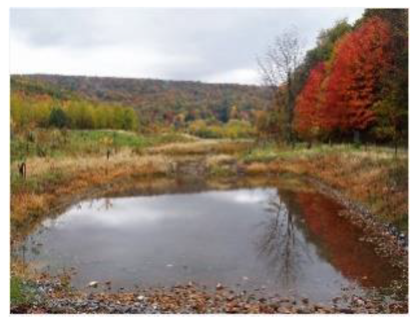 Sustainability 12 08840 g004