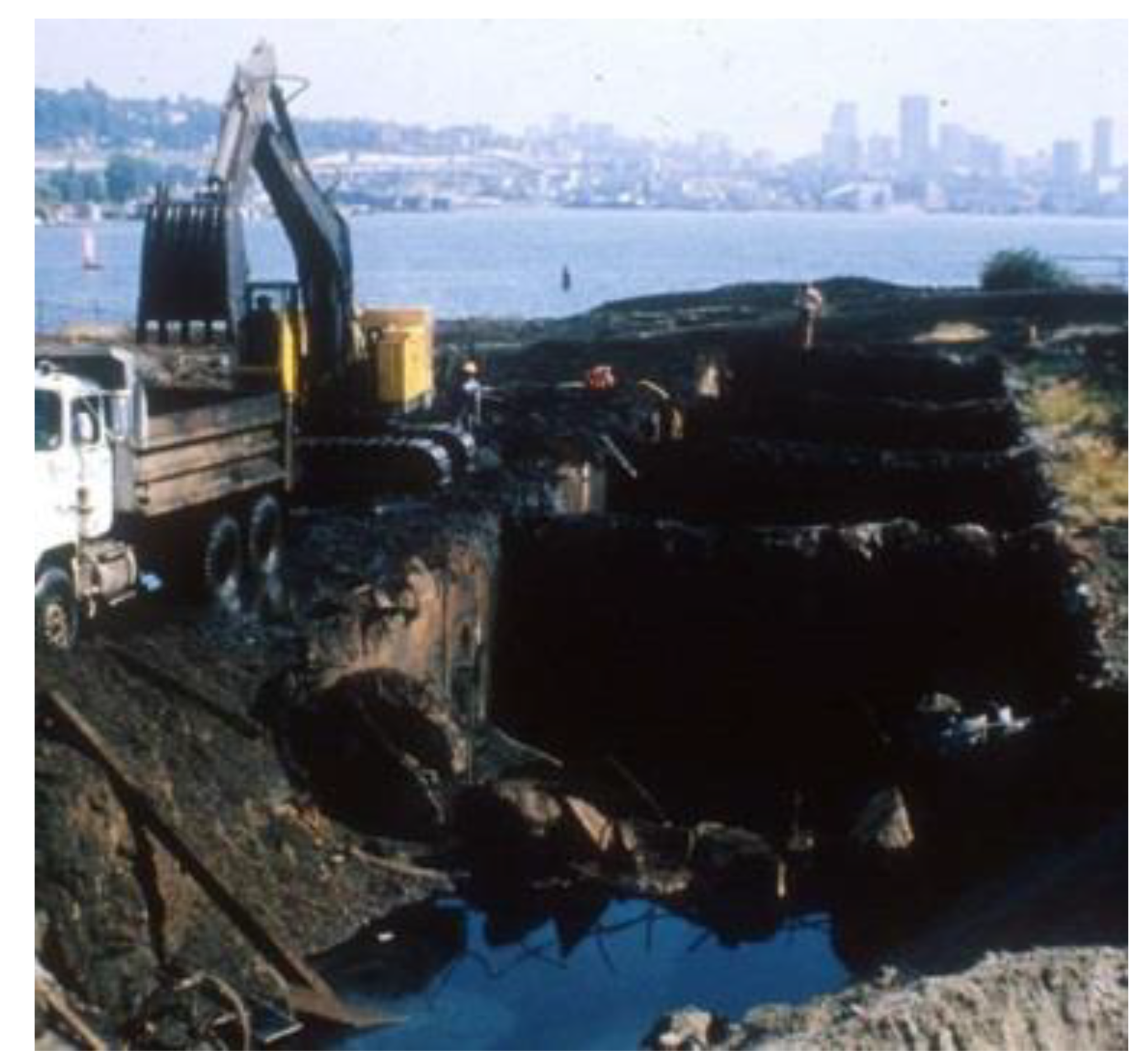 Sustainability 12 08840 g009