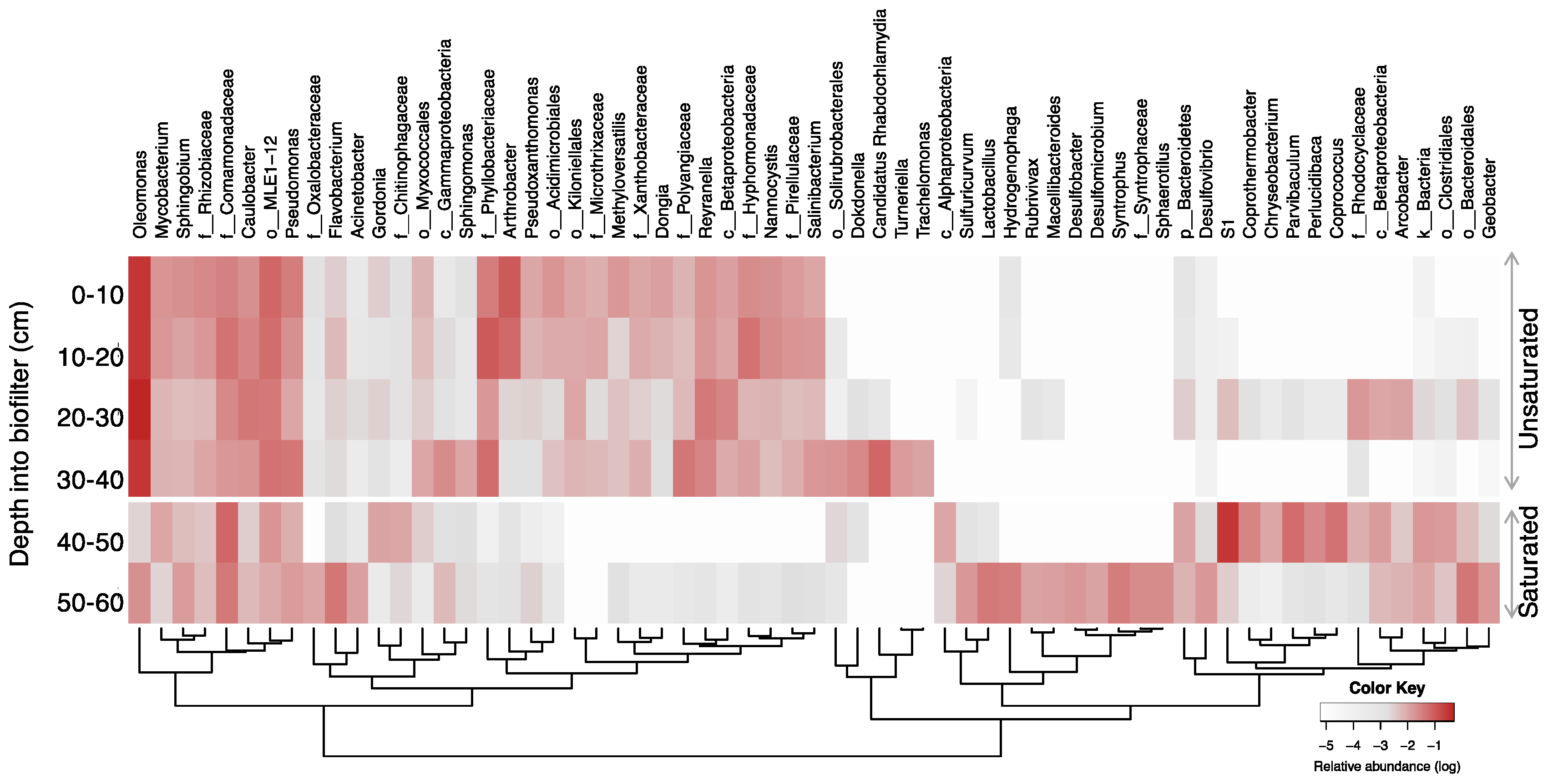 Sustainability 12 08847 g006