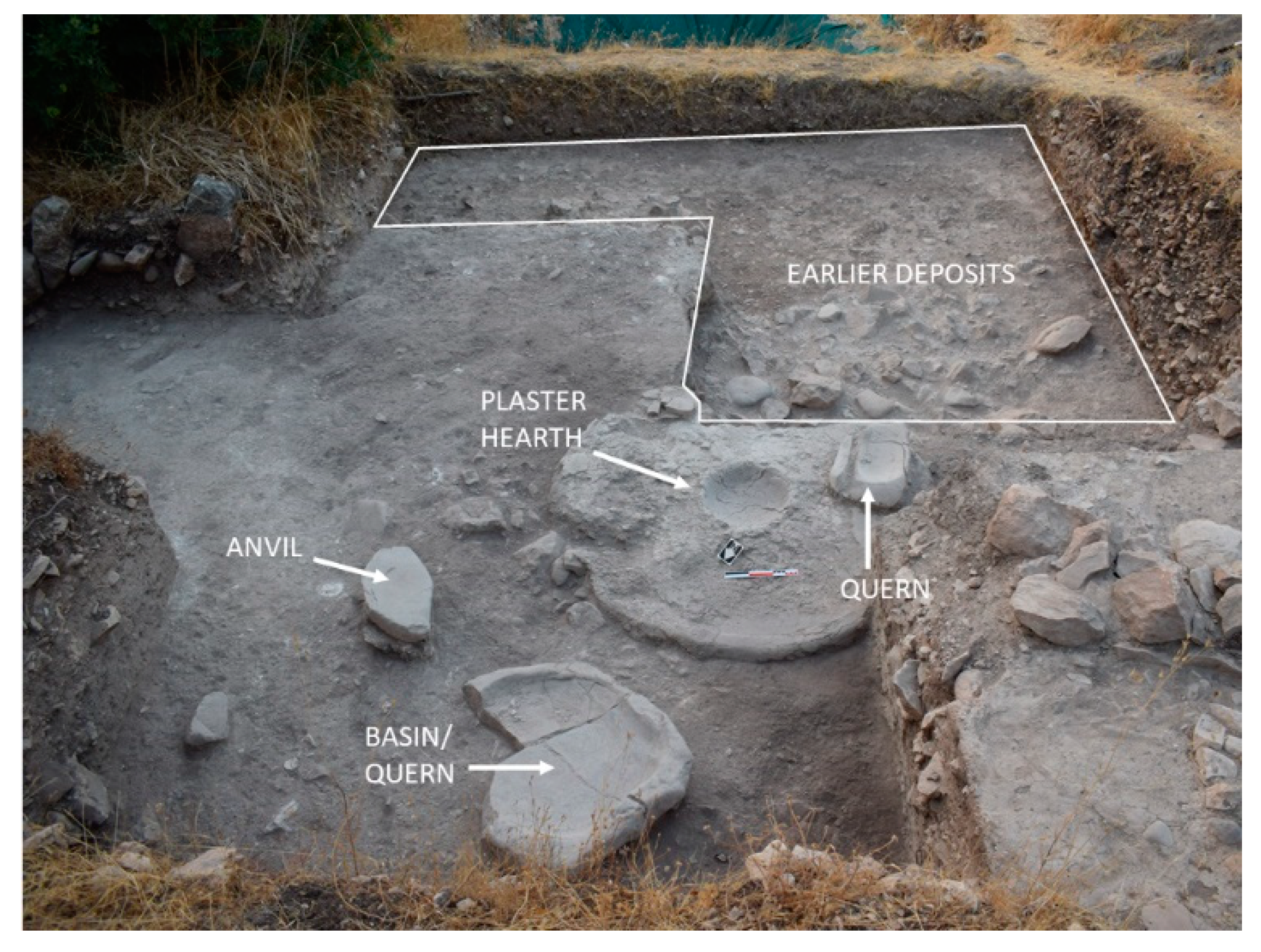 Sustainability 12 08869 g005