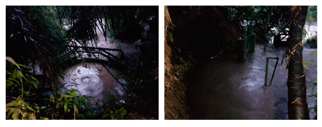 Sustainability 12 08873 g059