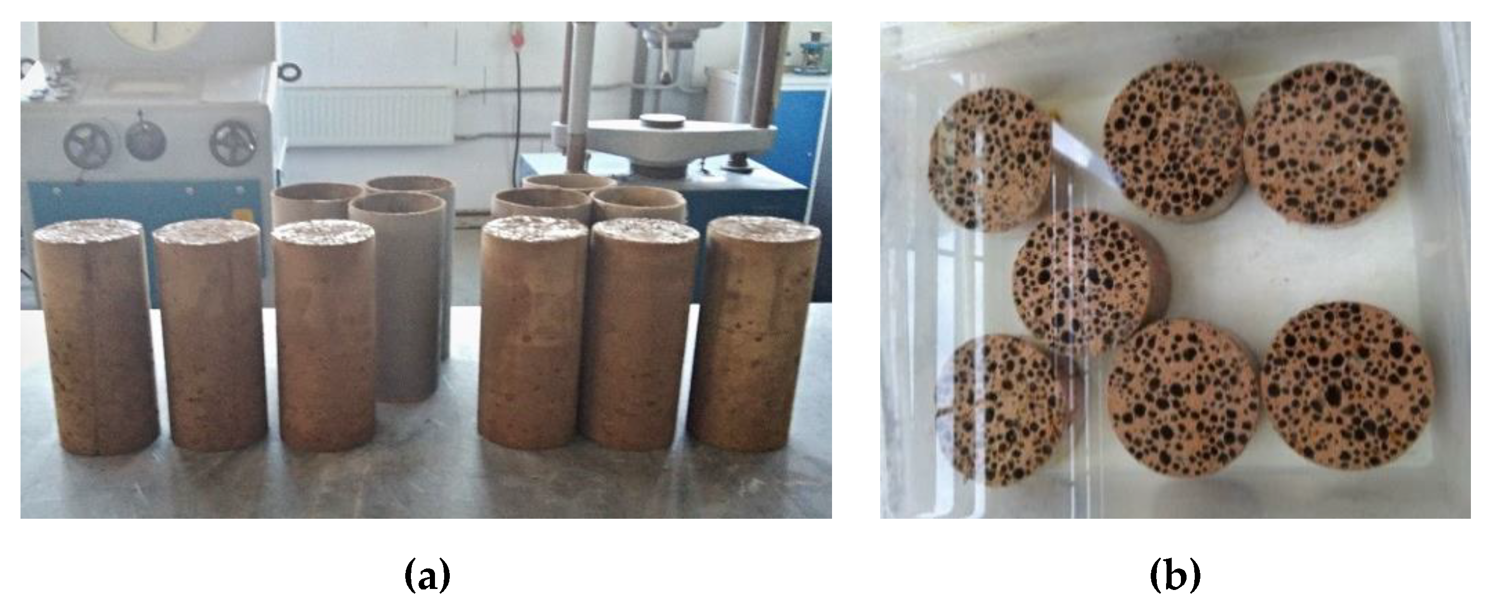 Sustainability 12 08890 g003