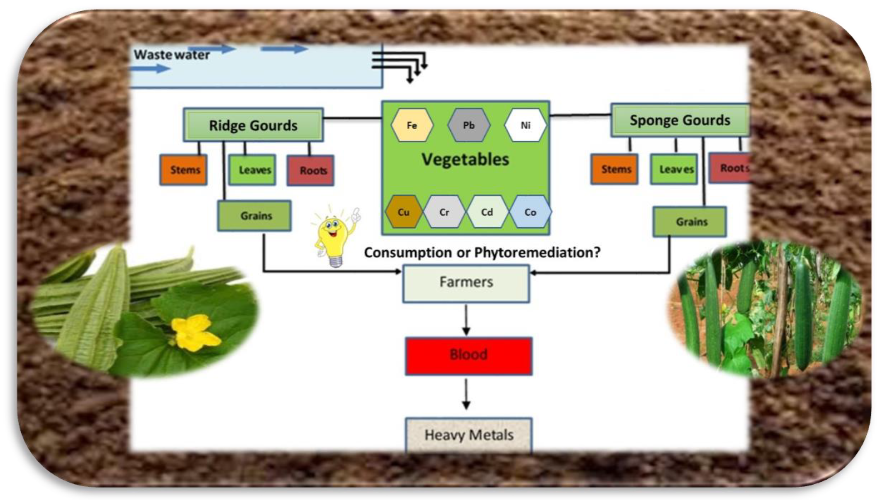 Sustainability 12 08891 g001 Sustainability 12 08891 g001
