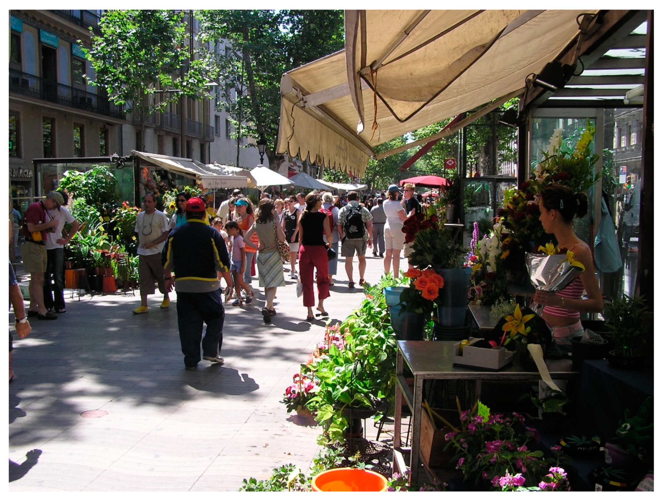 Sustainability 12 08896 g002