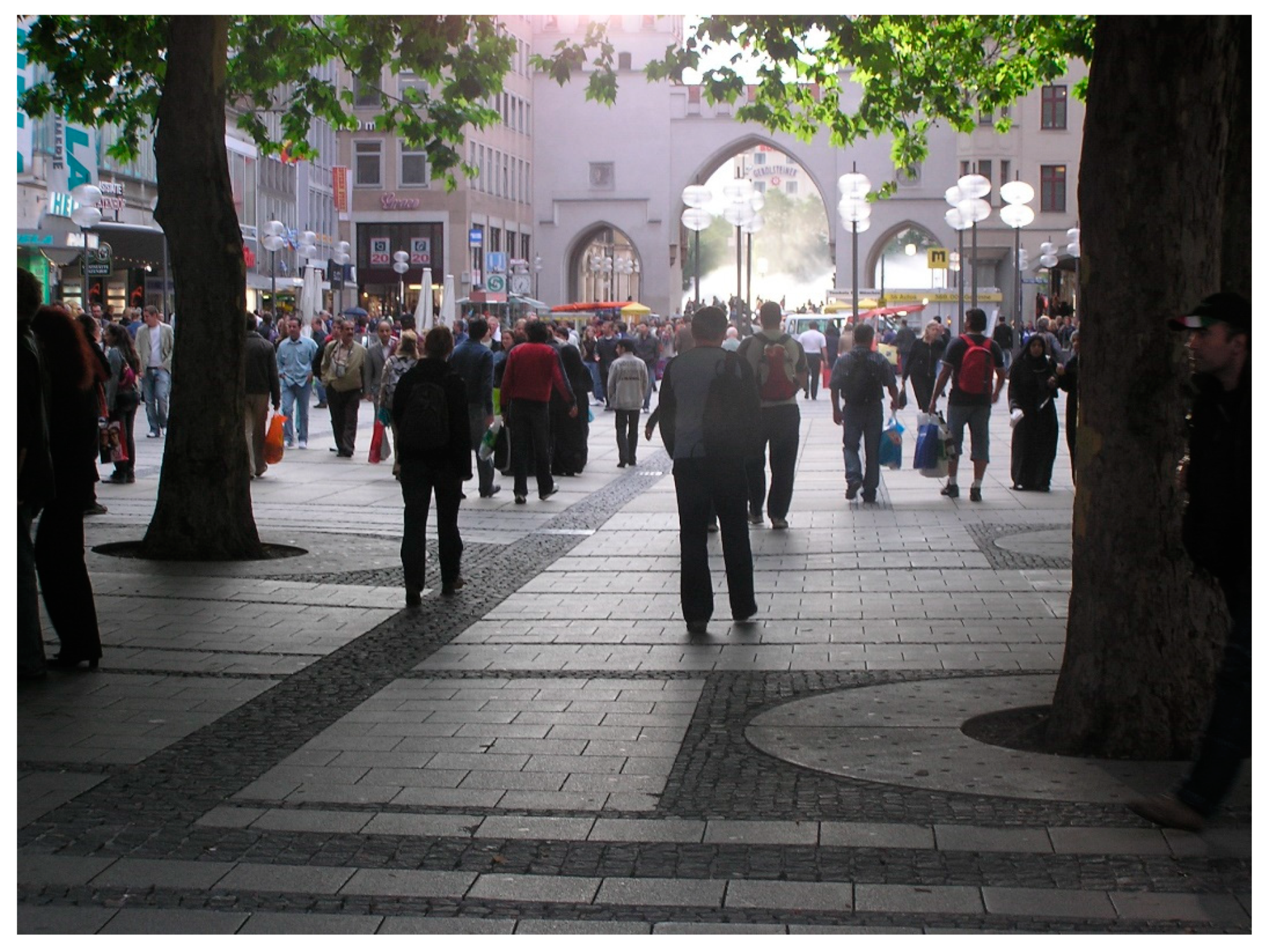 Sustainability 12 08896 g011