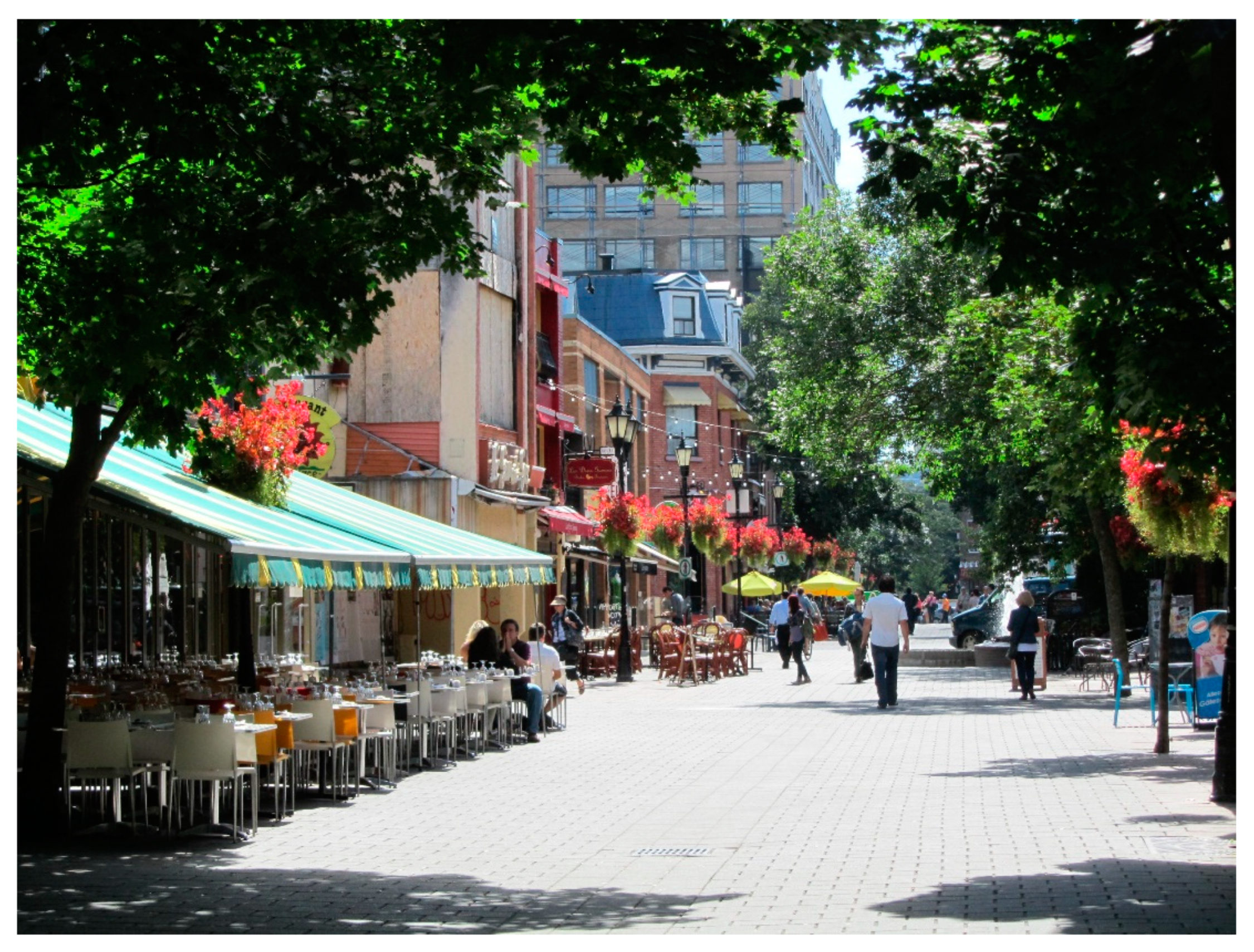 Sustainability 12 08896 g013