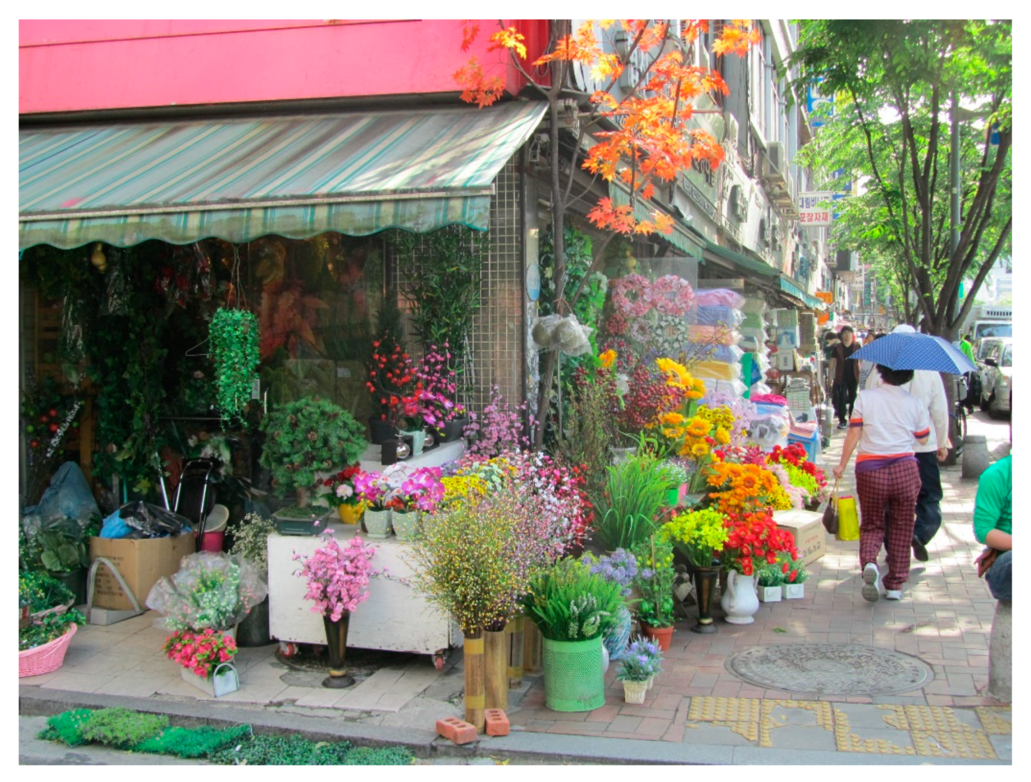 Sustainability 12 08896 g014