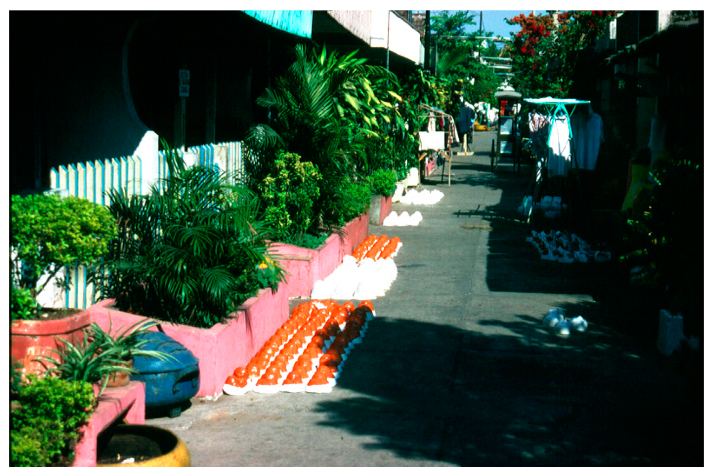 Sustainability 12 08896 g024