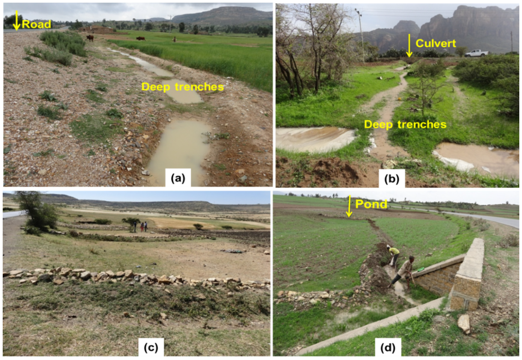 Sustainability 12 08914 g002