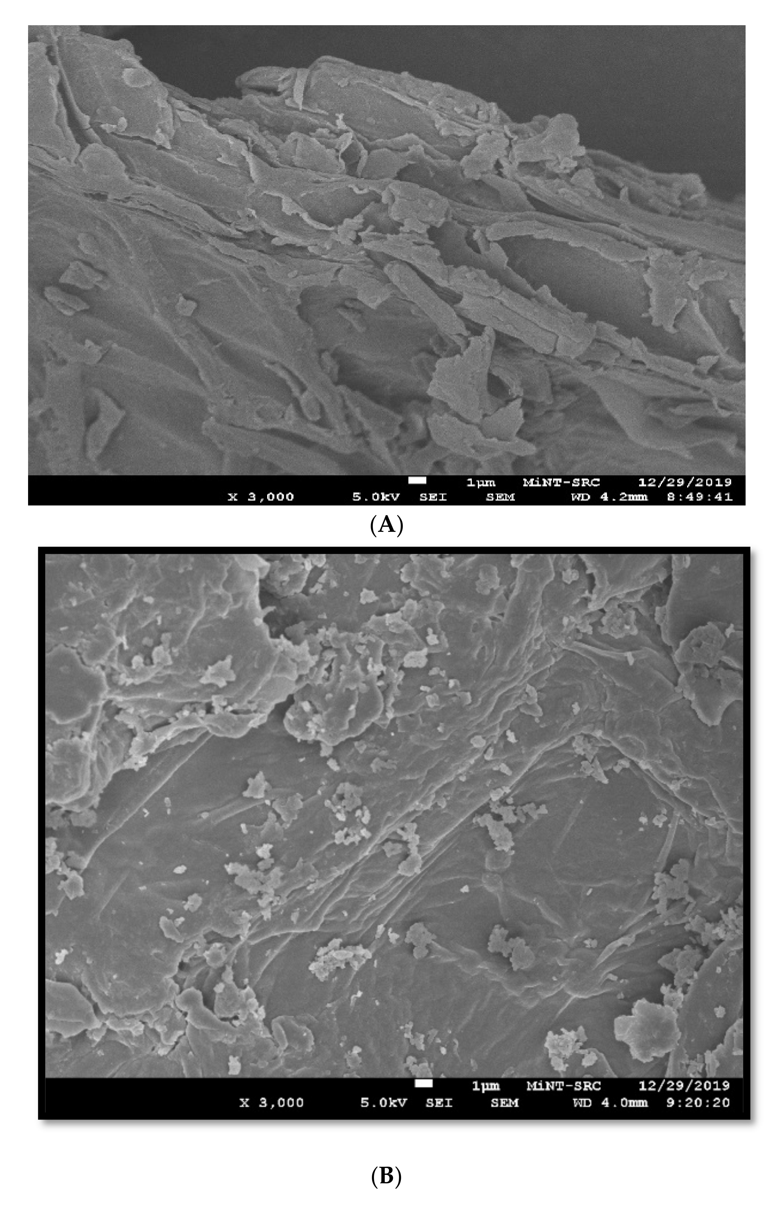 Sustainability 12 08928 g002 Sustainability 12 08928 g002