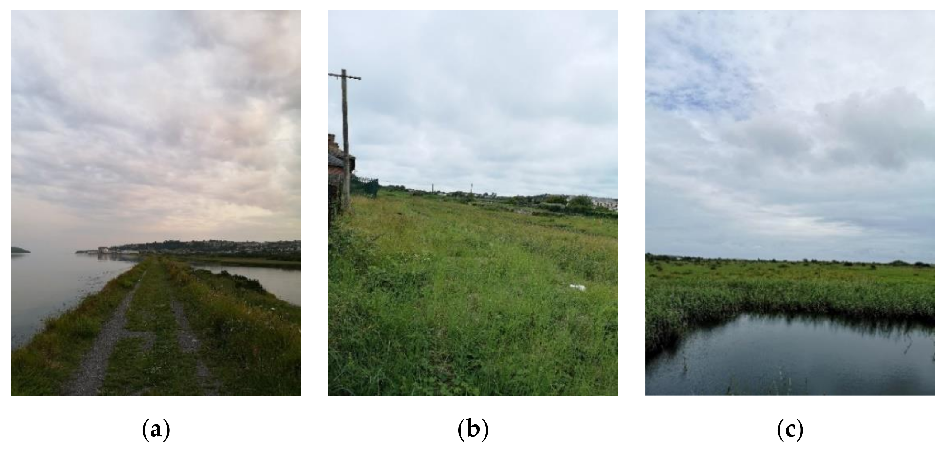 Sustainability 12 09047 g002