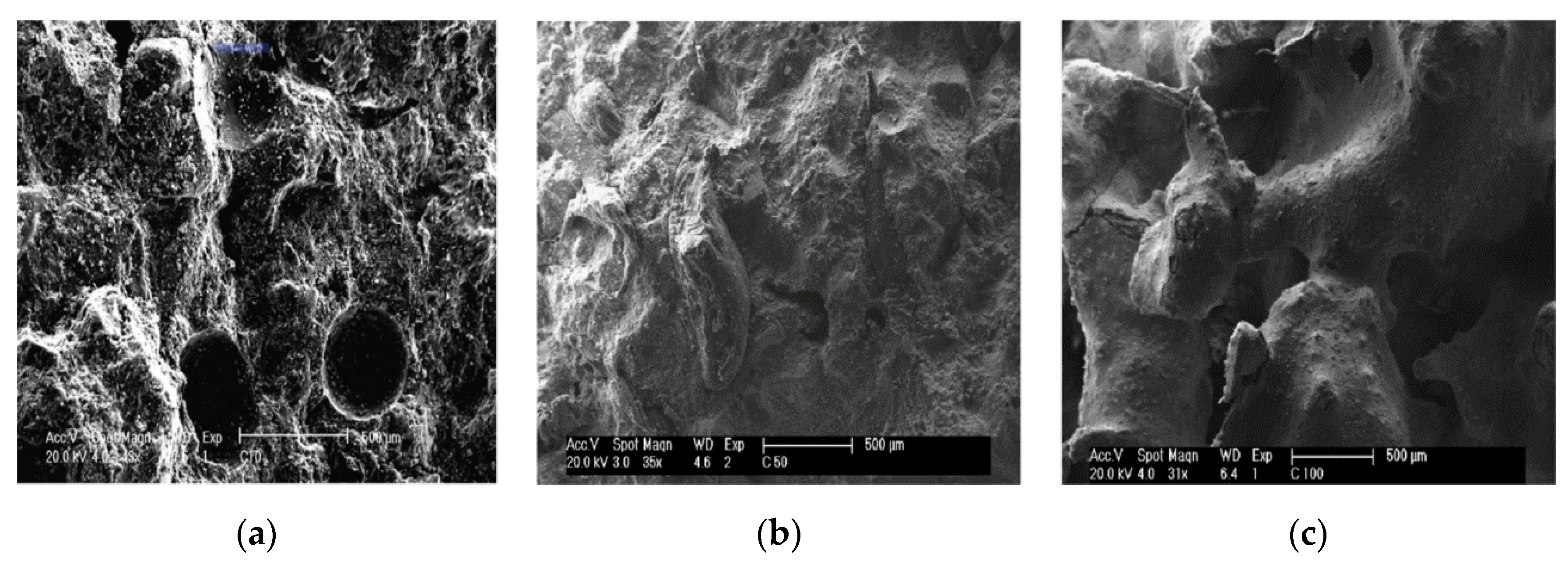 Sustainability 12 09060 g011