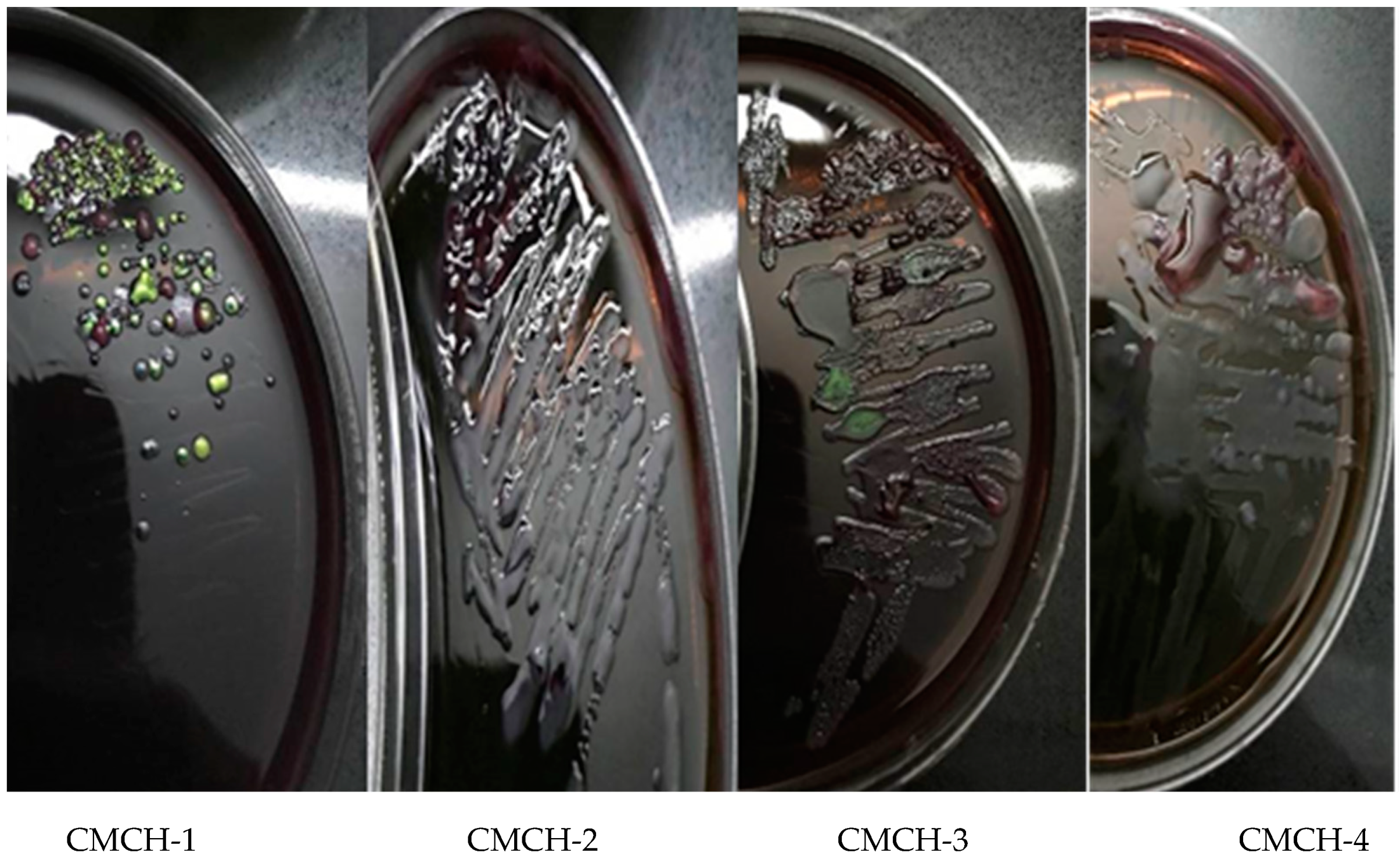 Sustainability 12 09077 g0a1 Sustainability 12 09077 g0a1