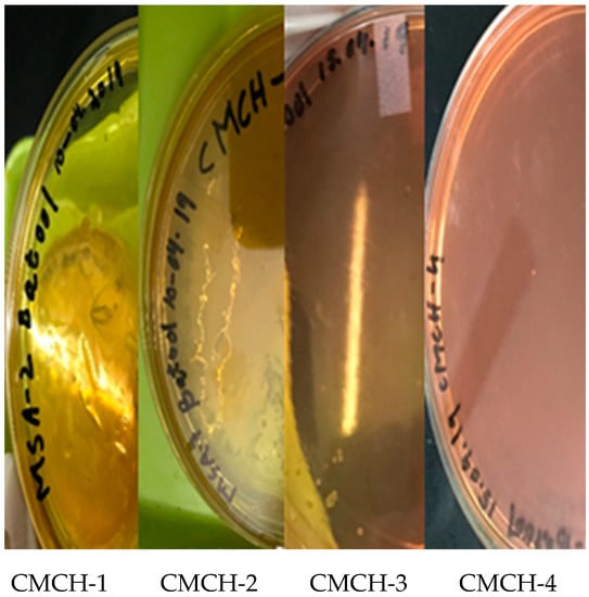 Sustainability 12 09077 g0a2