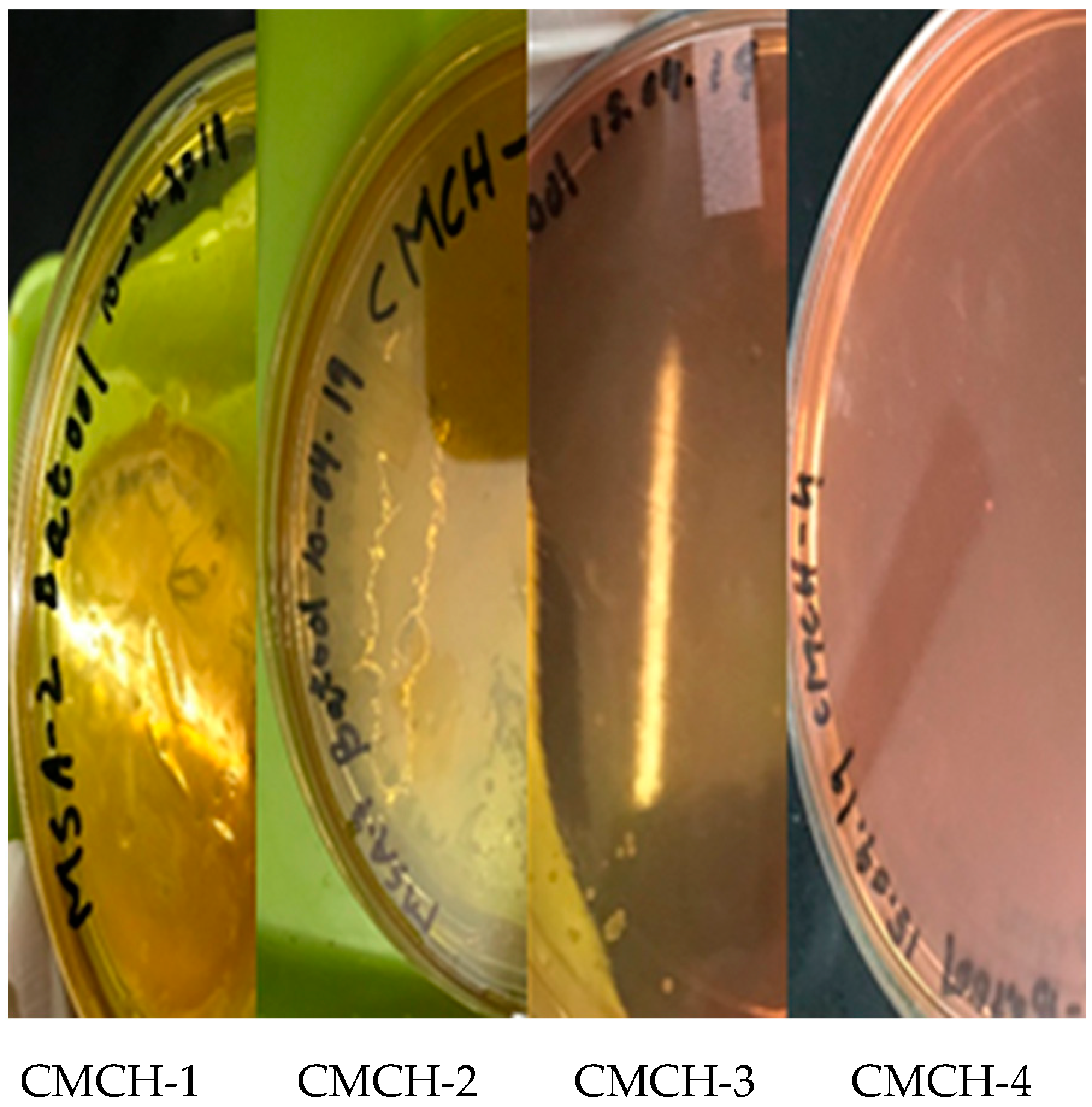 Sustainability 12 09077 g0a2 Sustainability 12 09077 g0a2