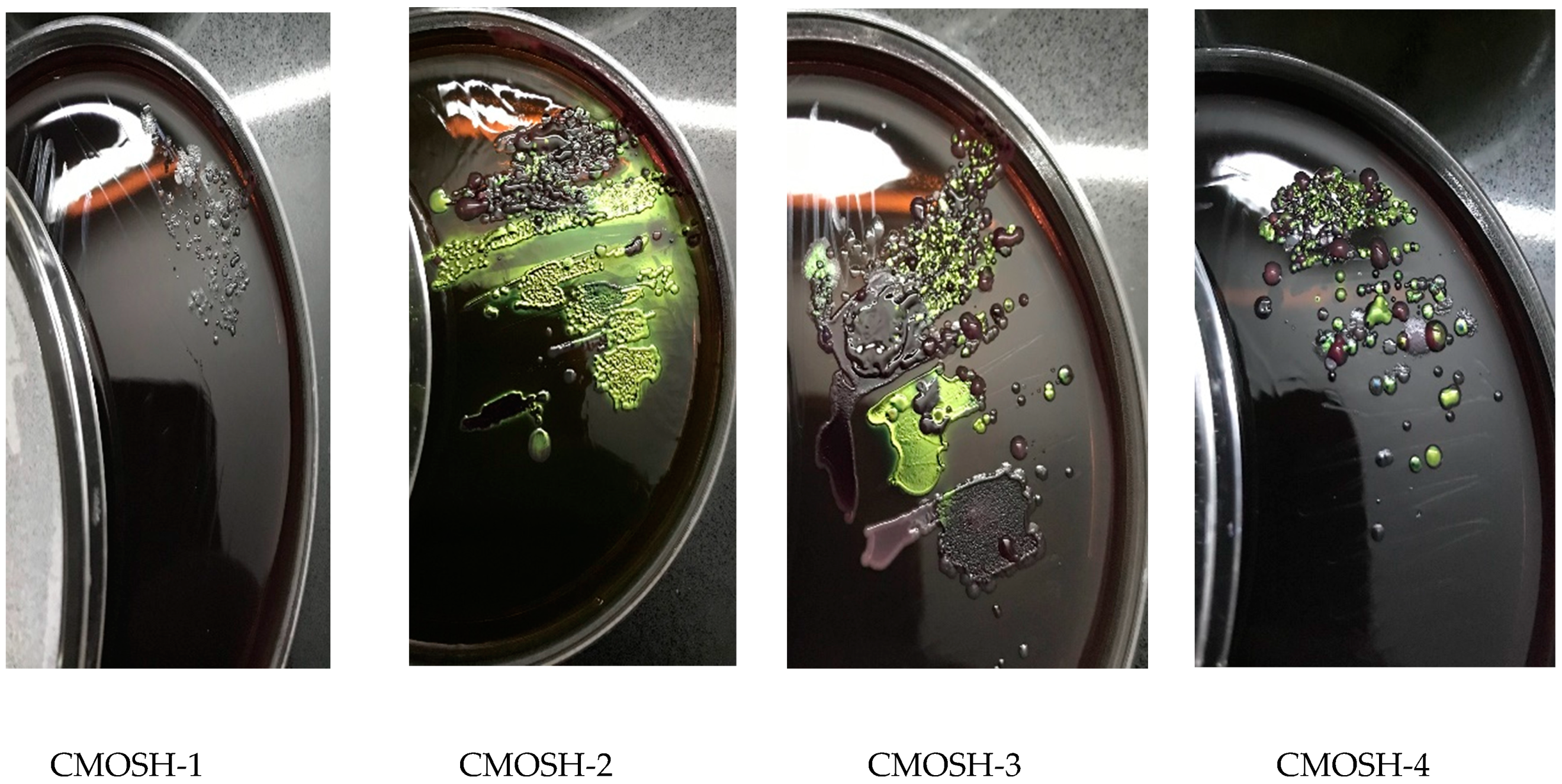 Sustainability 12 09077 g0a3 Sustainability 12 09077 g0a3