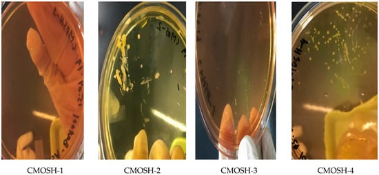 Sustainability 12 09077 g0a4