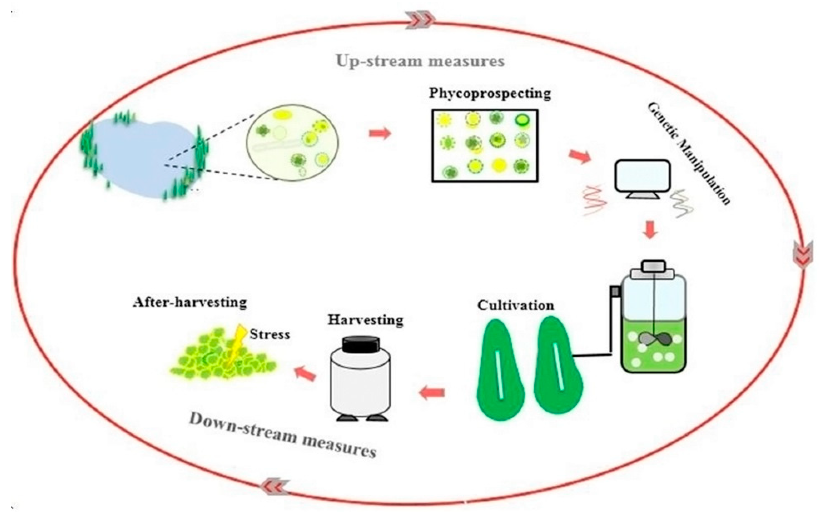 Sustainability 12 09083 g001