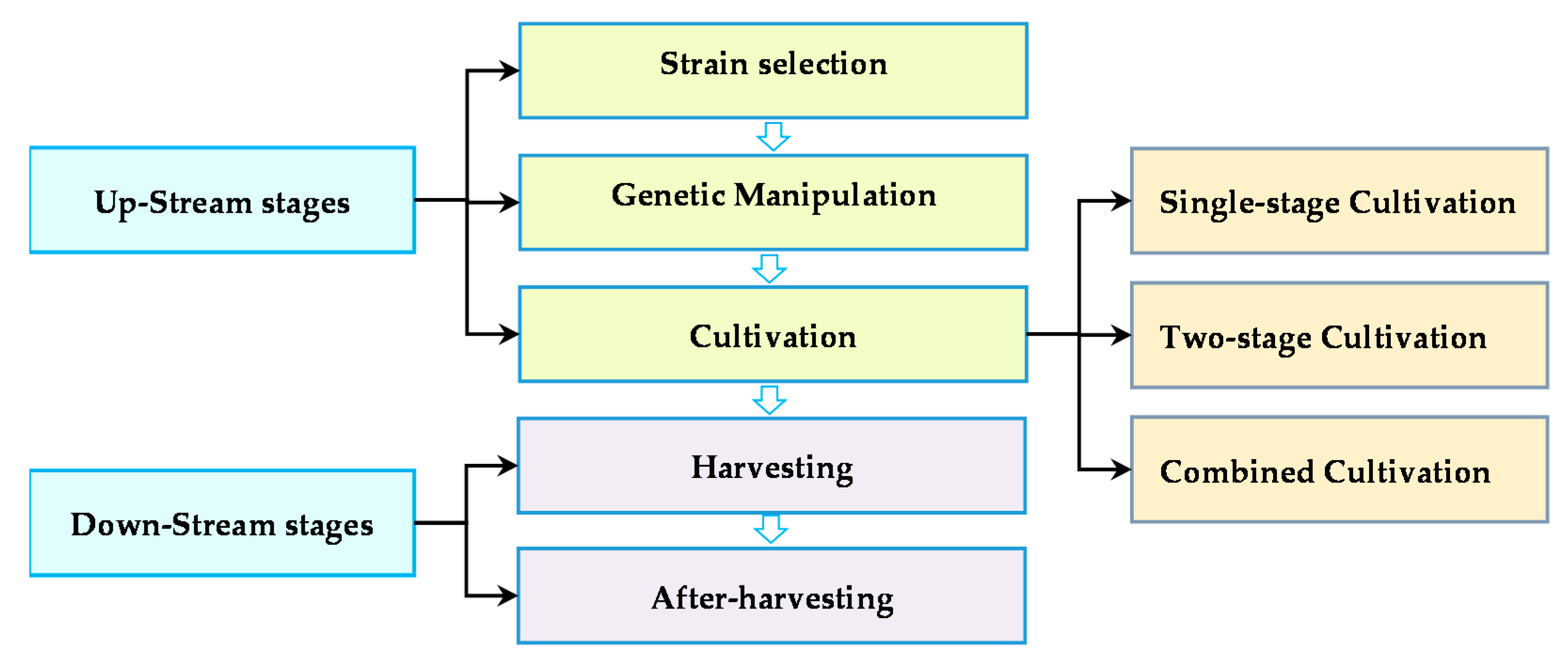 Sustainability 12 09083 g002