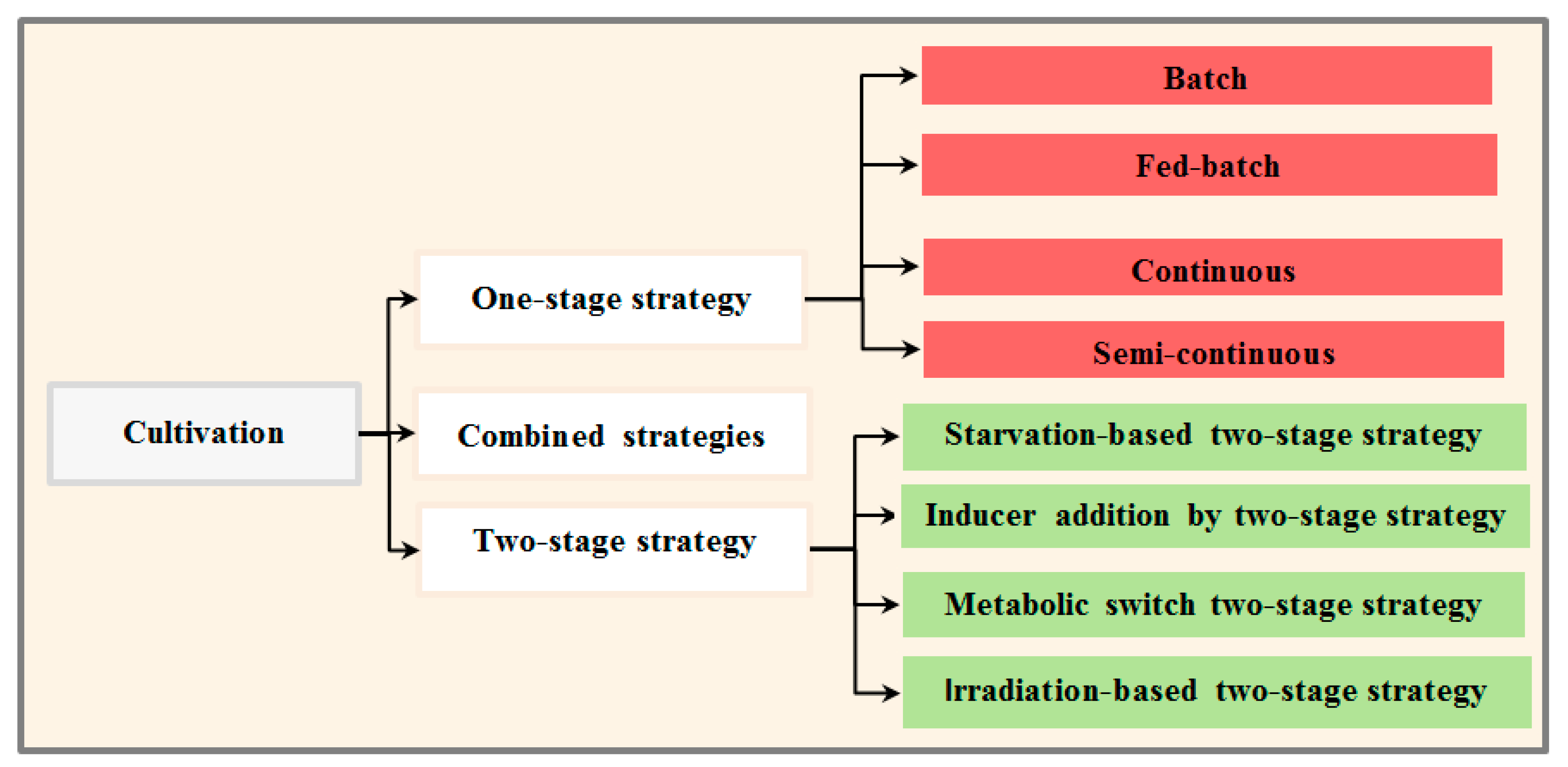 Sustainability 12 09083 g003
