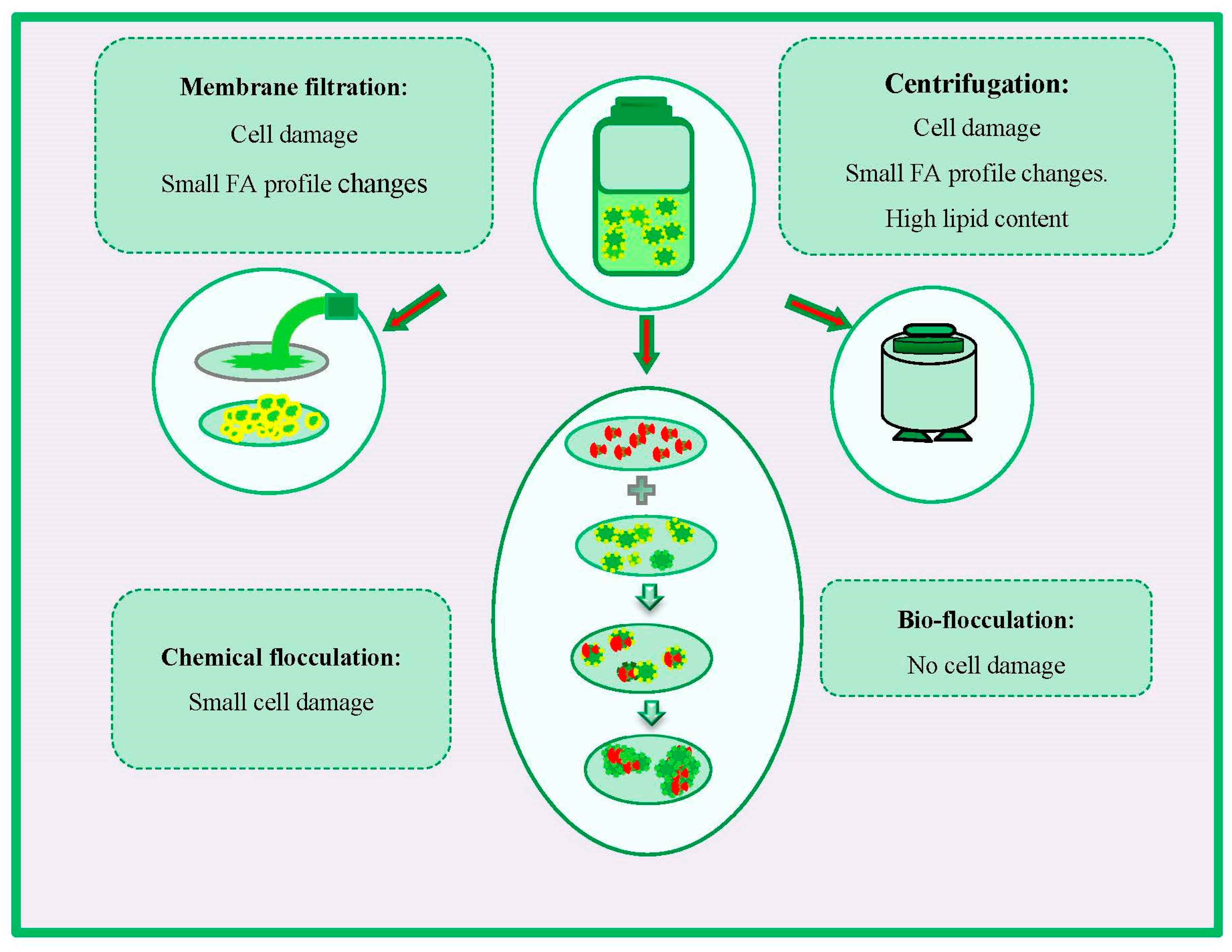 Sustainability 12 09083 g004