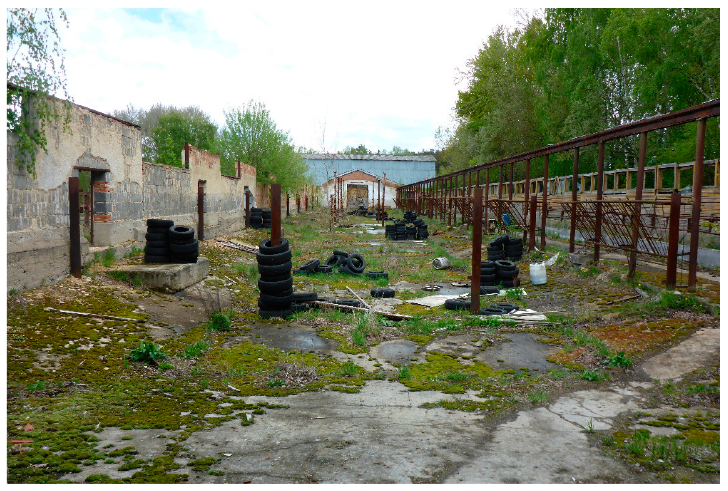 Sustainability 12 09124 g002