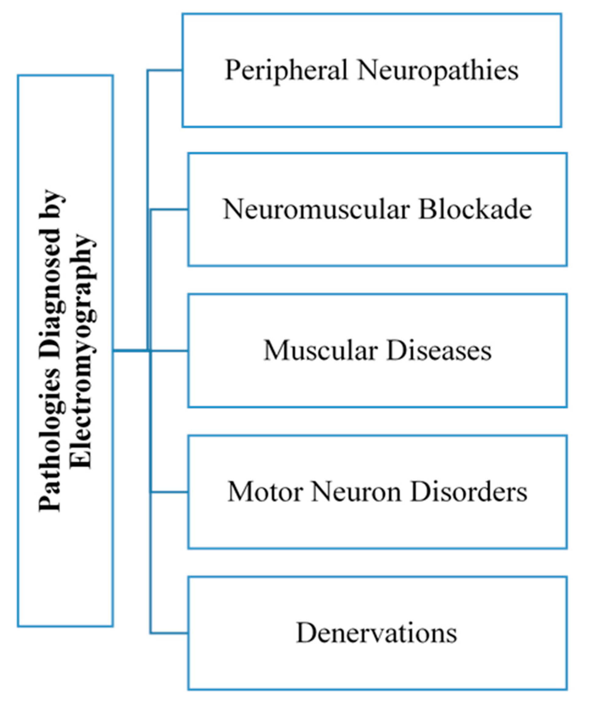 Sustainability 12 09137 g003