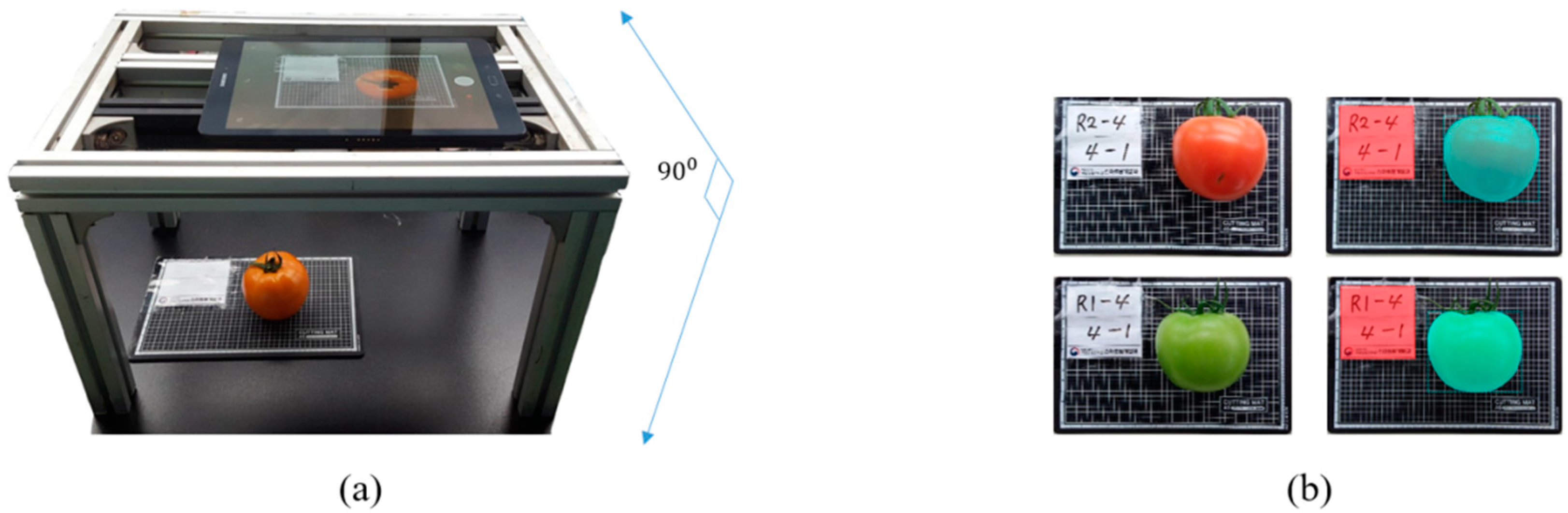 Sustainability 12 09138 g002