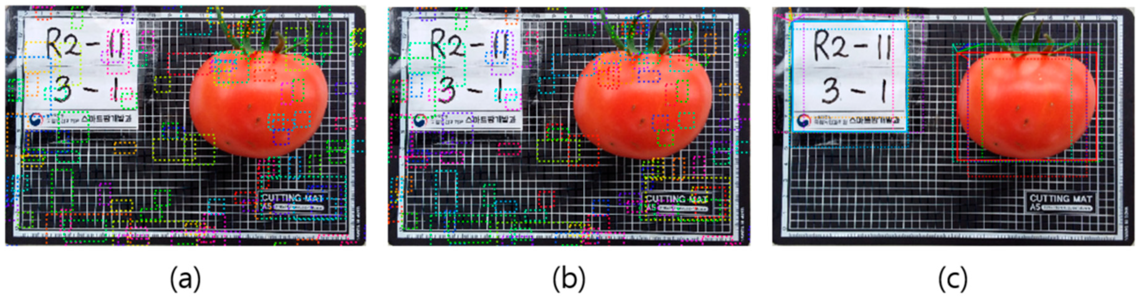 Sustainability 12 09138 g004