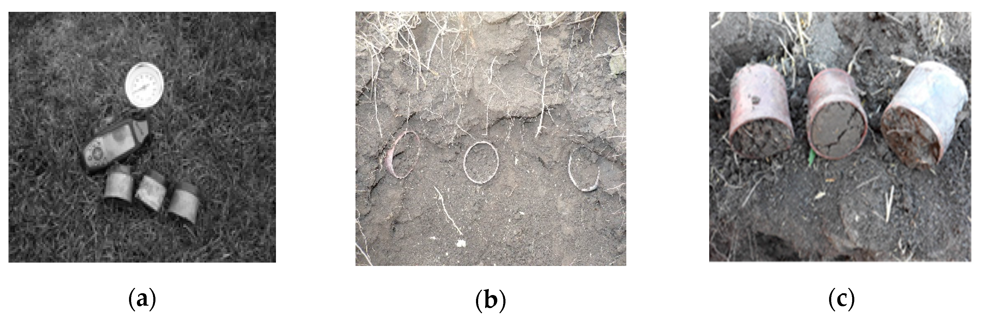 Sustainability 12 09174 g003