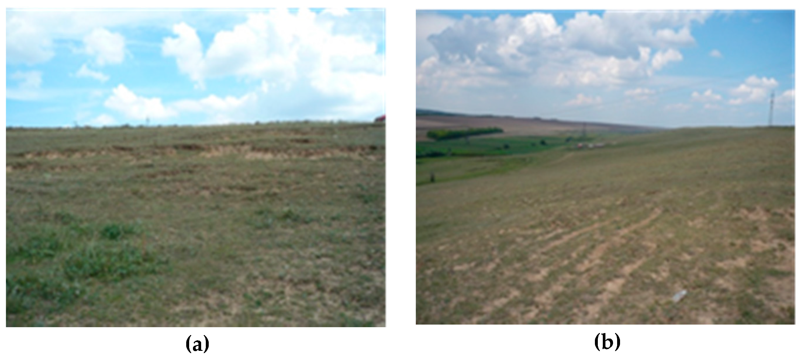 Sustainability 12 09174 g005