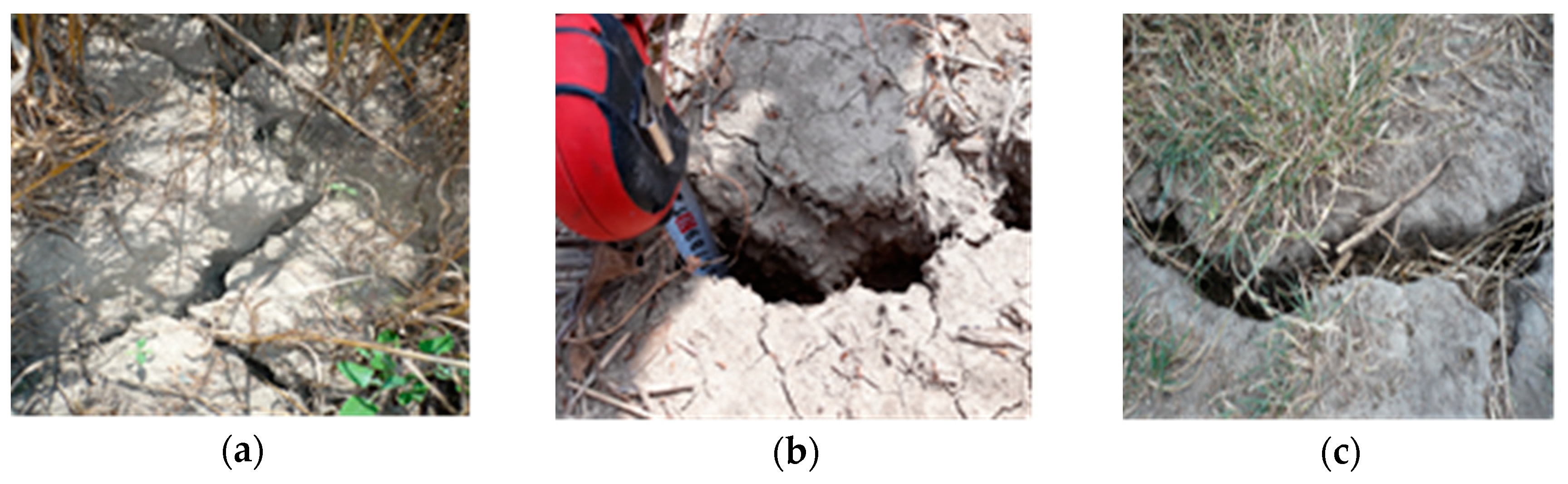 Sustainability 12 09174 g006