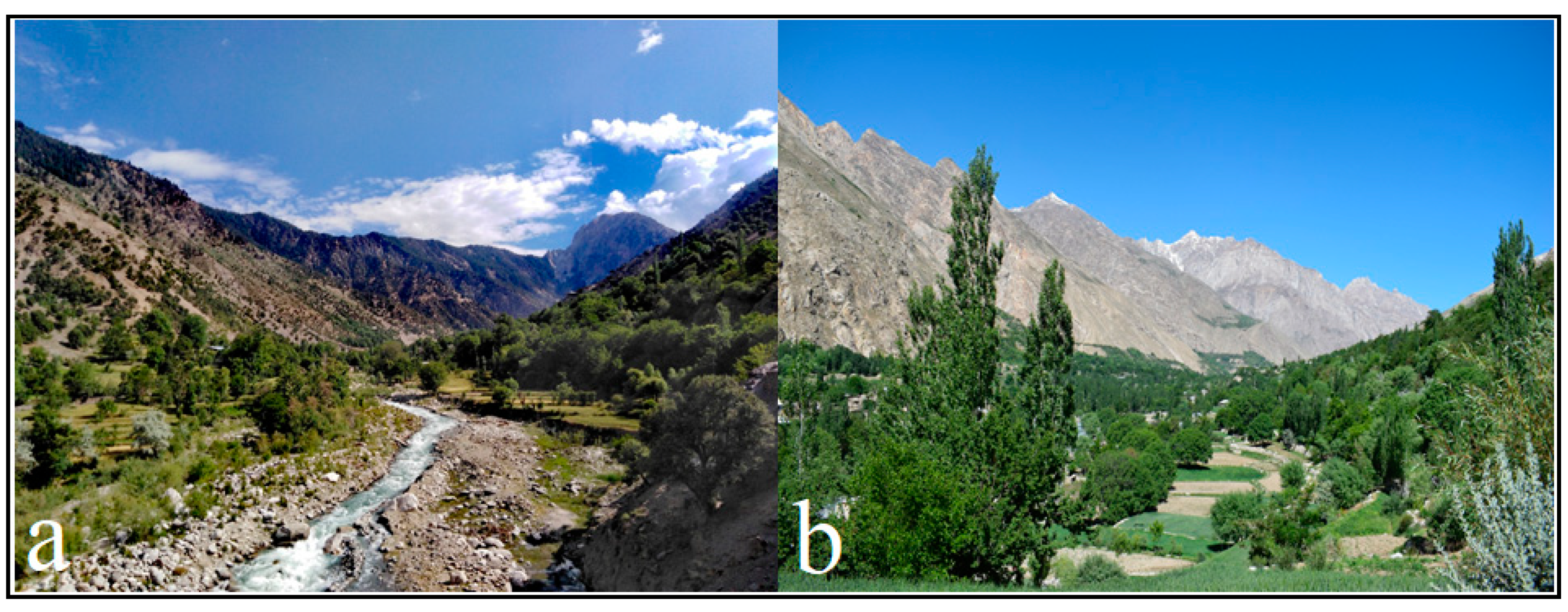 Sustainability 12 09176 g002 Sustainability 12 09176 g002