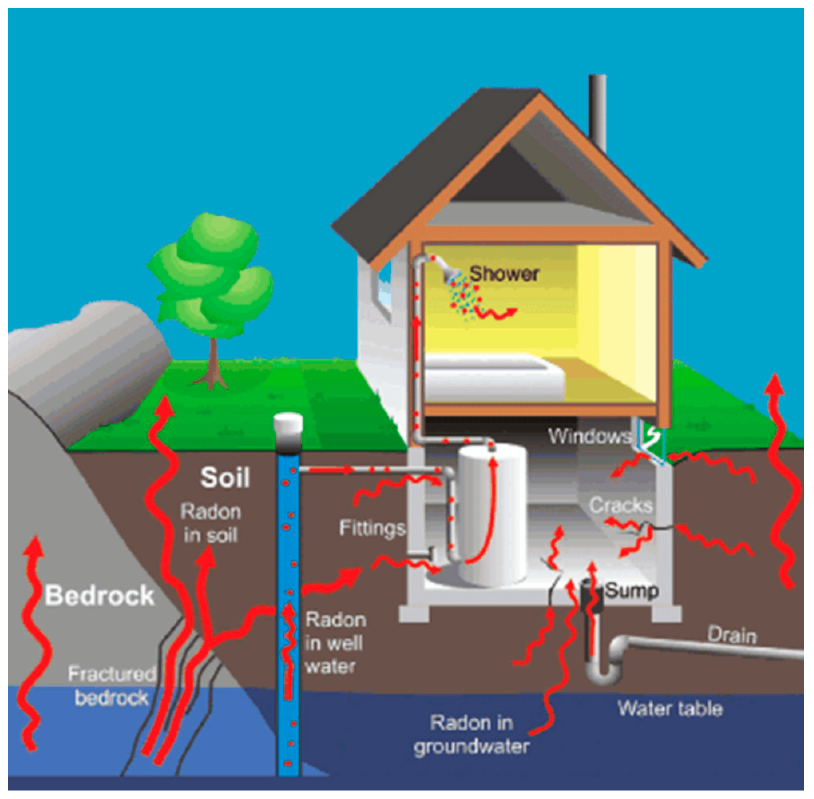 Sustainability 12 09197 g003