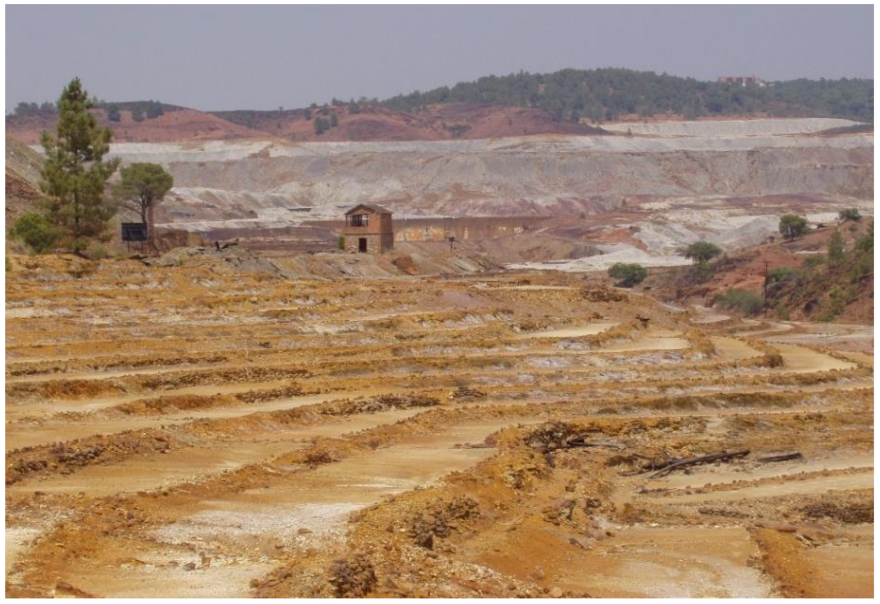 Sustainability 12 09216 g007