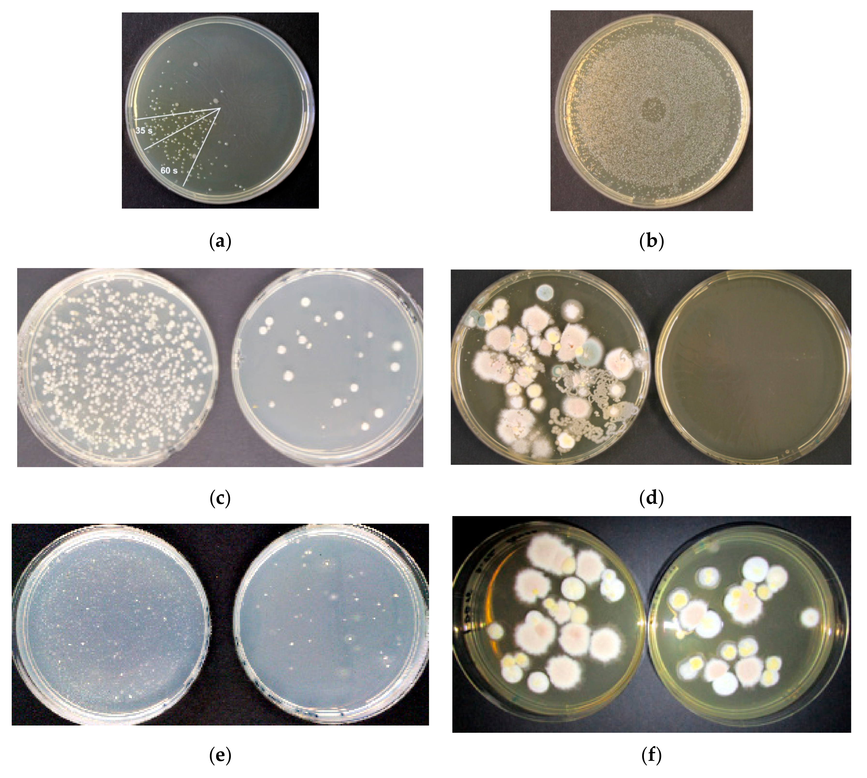 Sustainability 12 09240 g008 Sustainability 12 09240 g008