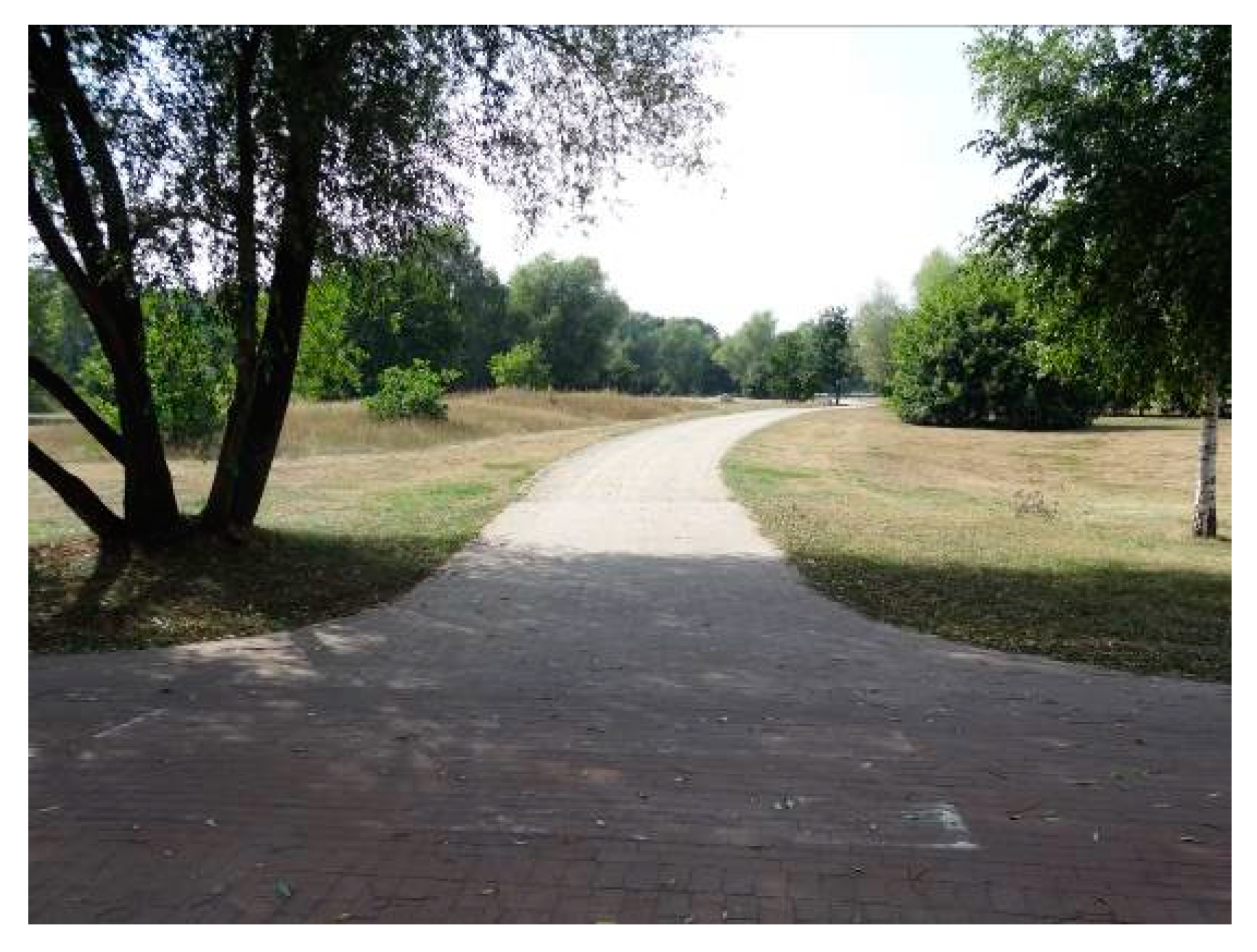 Sustainability 12 09243 g006