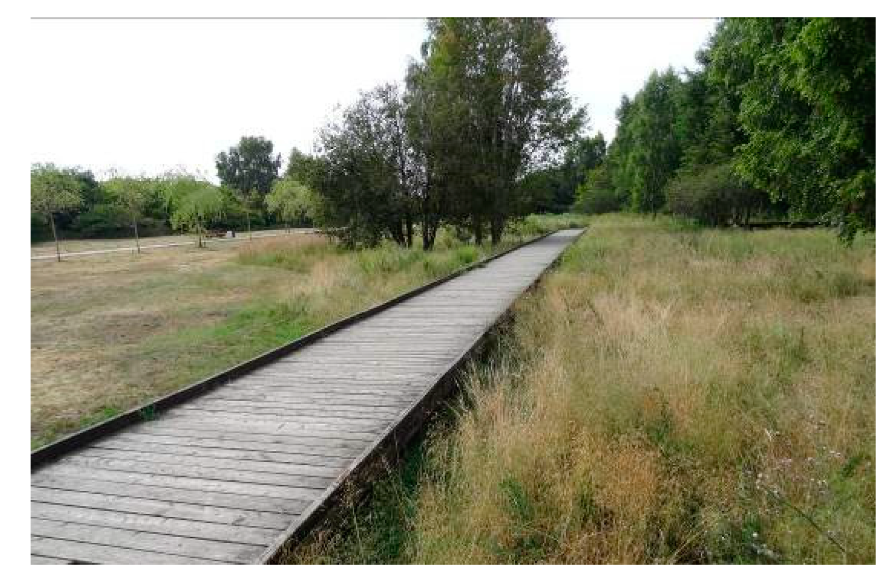 Sustainability 12 09243 g007