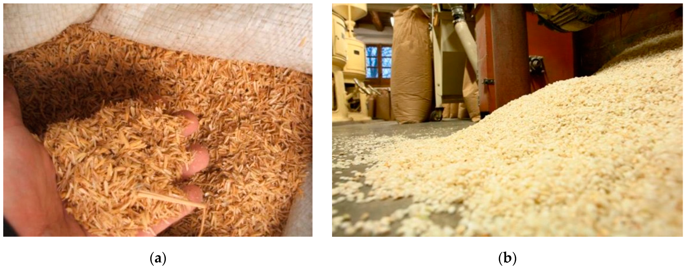 Sustainability 12 09272 g002 Sustainability 12 09272 g002