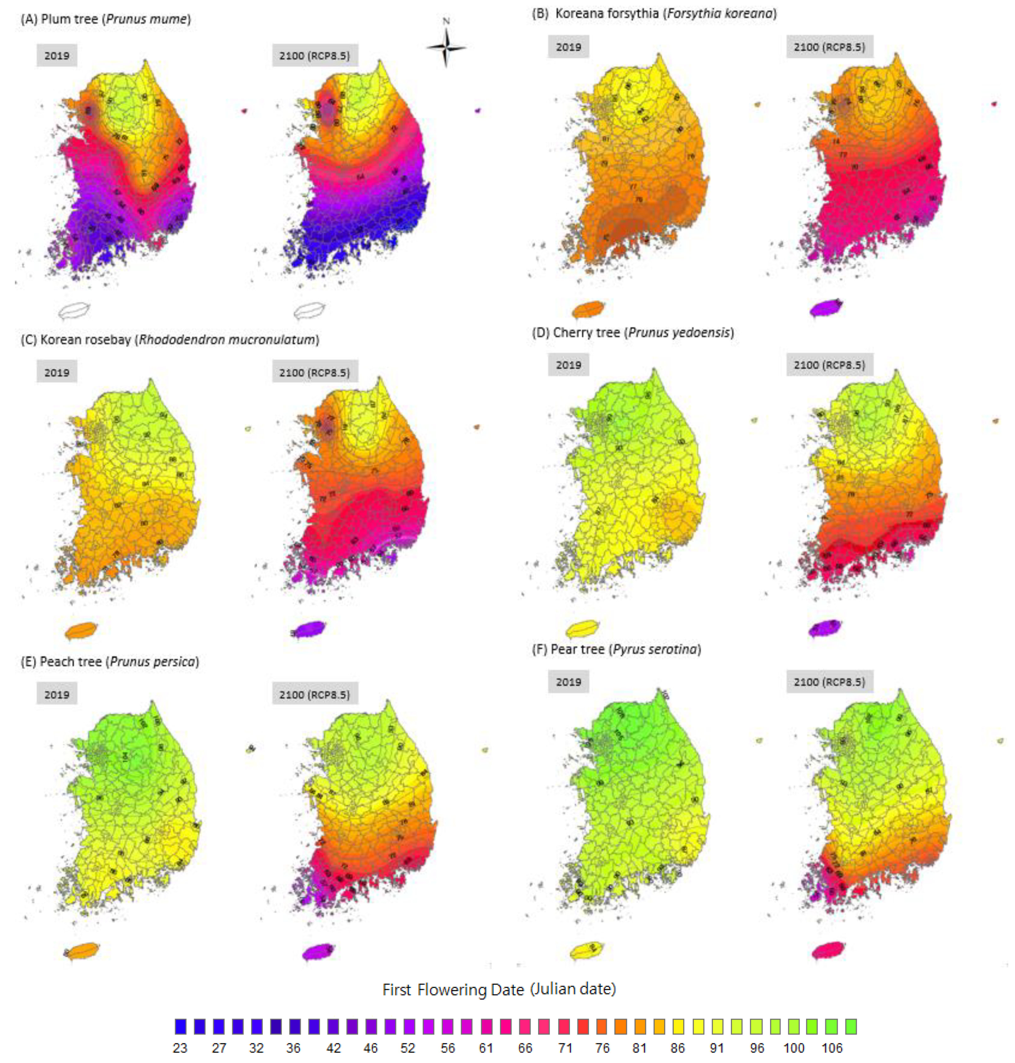 Sustainability 12 09276 g005