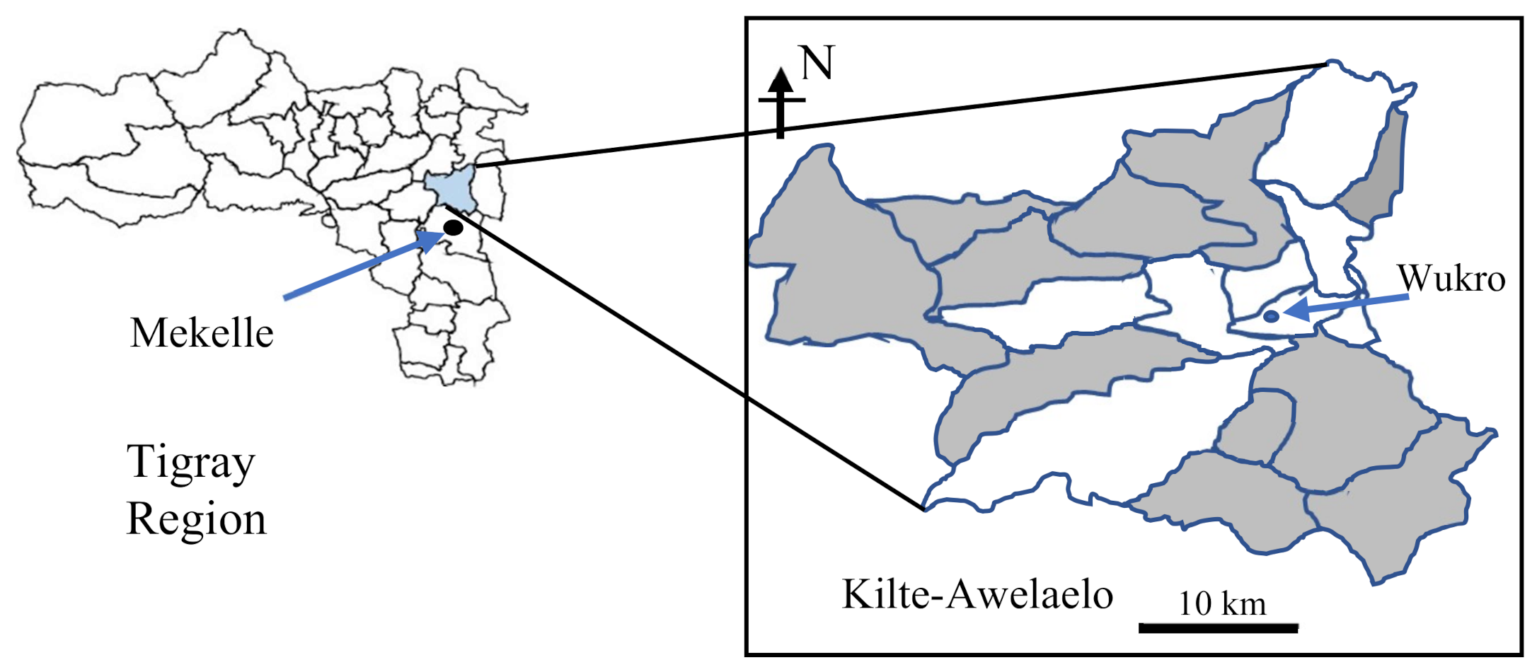 Sustainability 12 09290 g001
