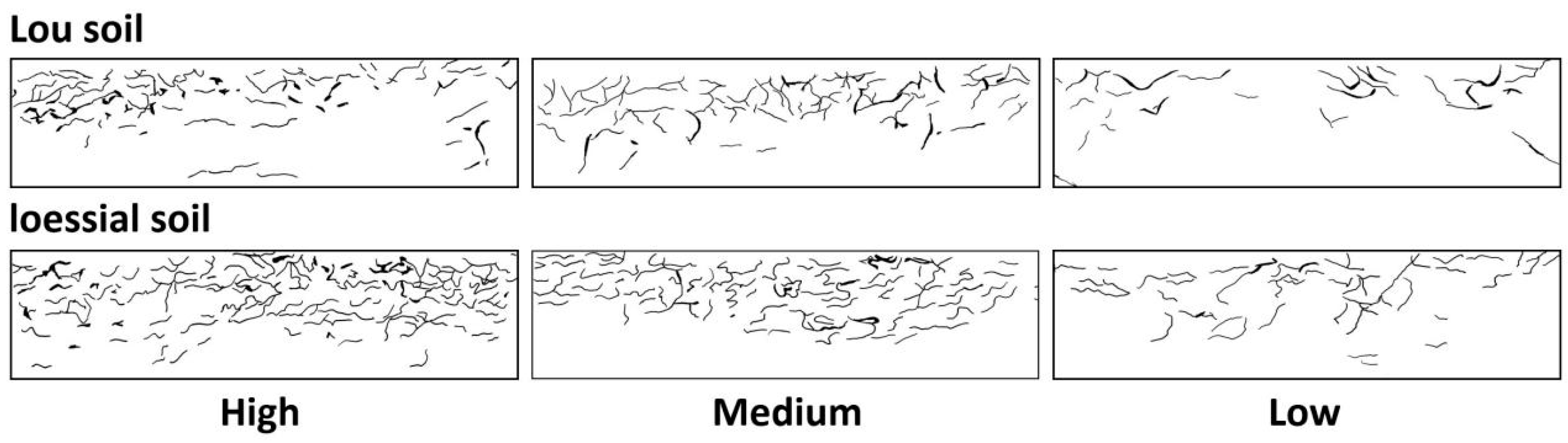 Sustainability 12 09303 g001